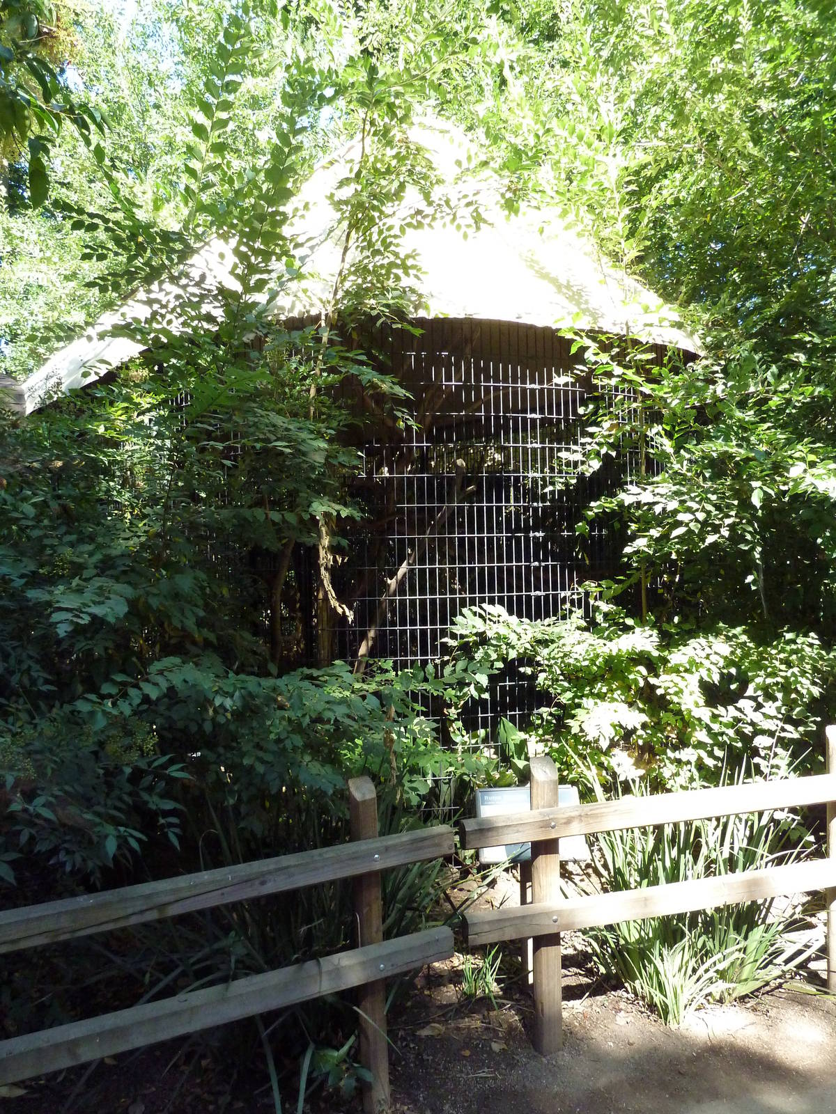 Buton Hornbill Exhibit