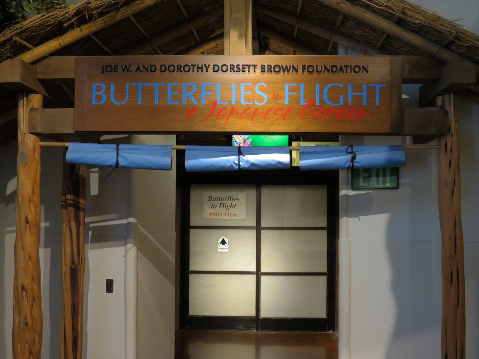Butterflies In Flight Gallery - Entrance