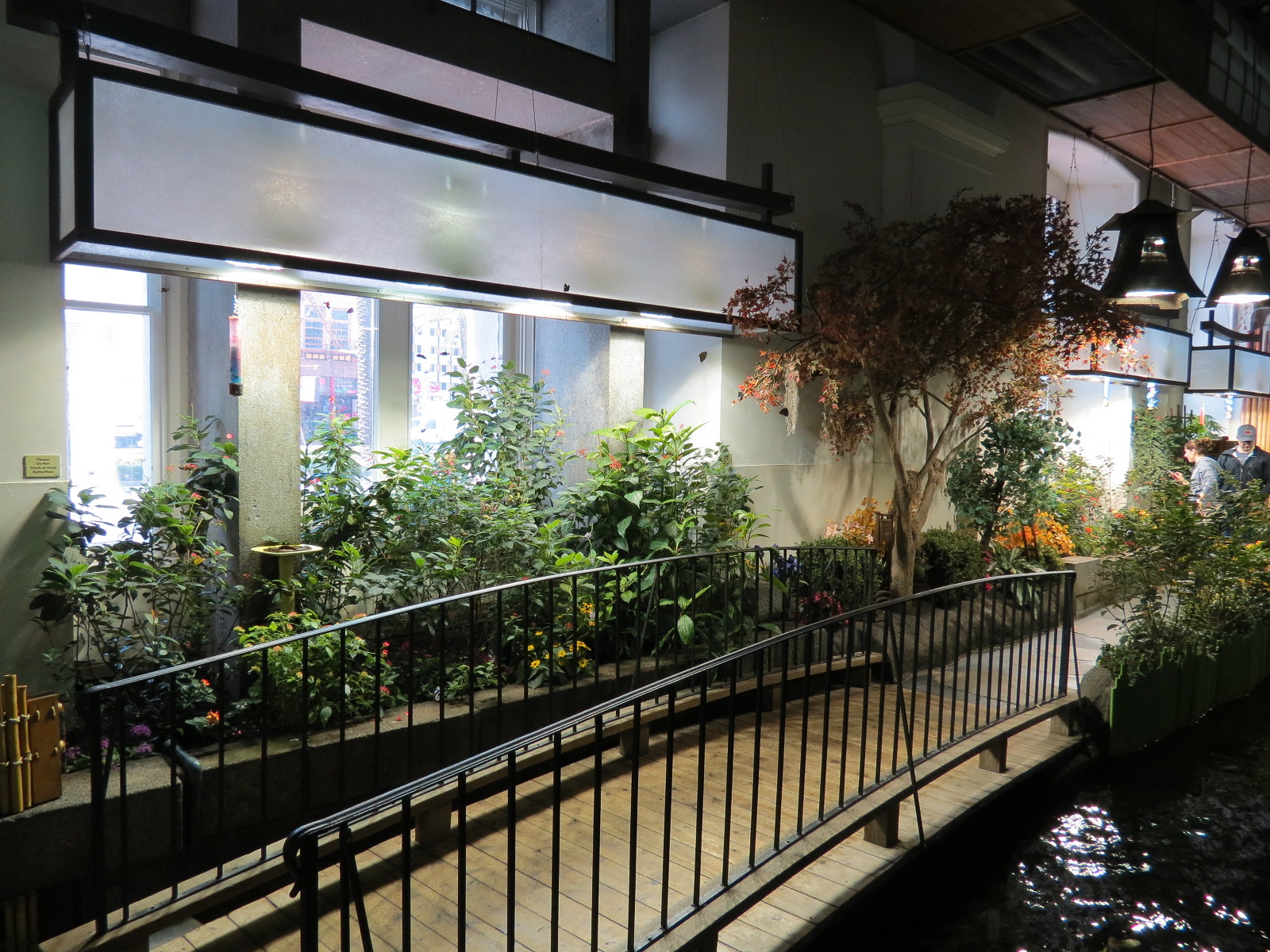 Butterflies In Flight Gallery - Interior