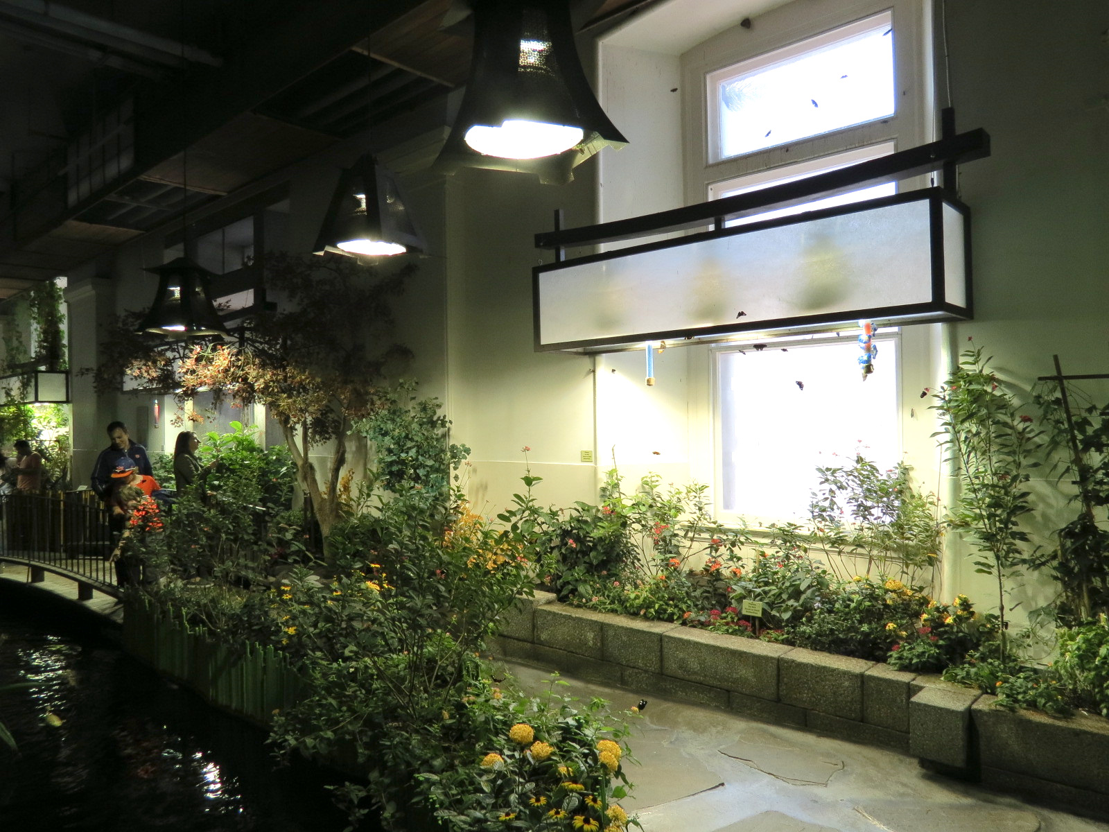 Butterflies In Flight Gallery