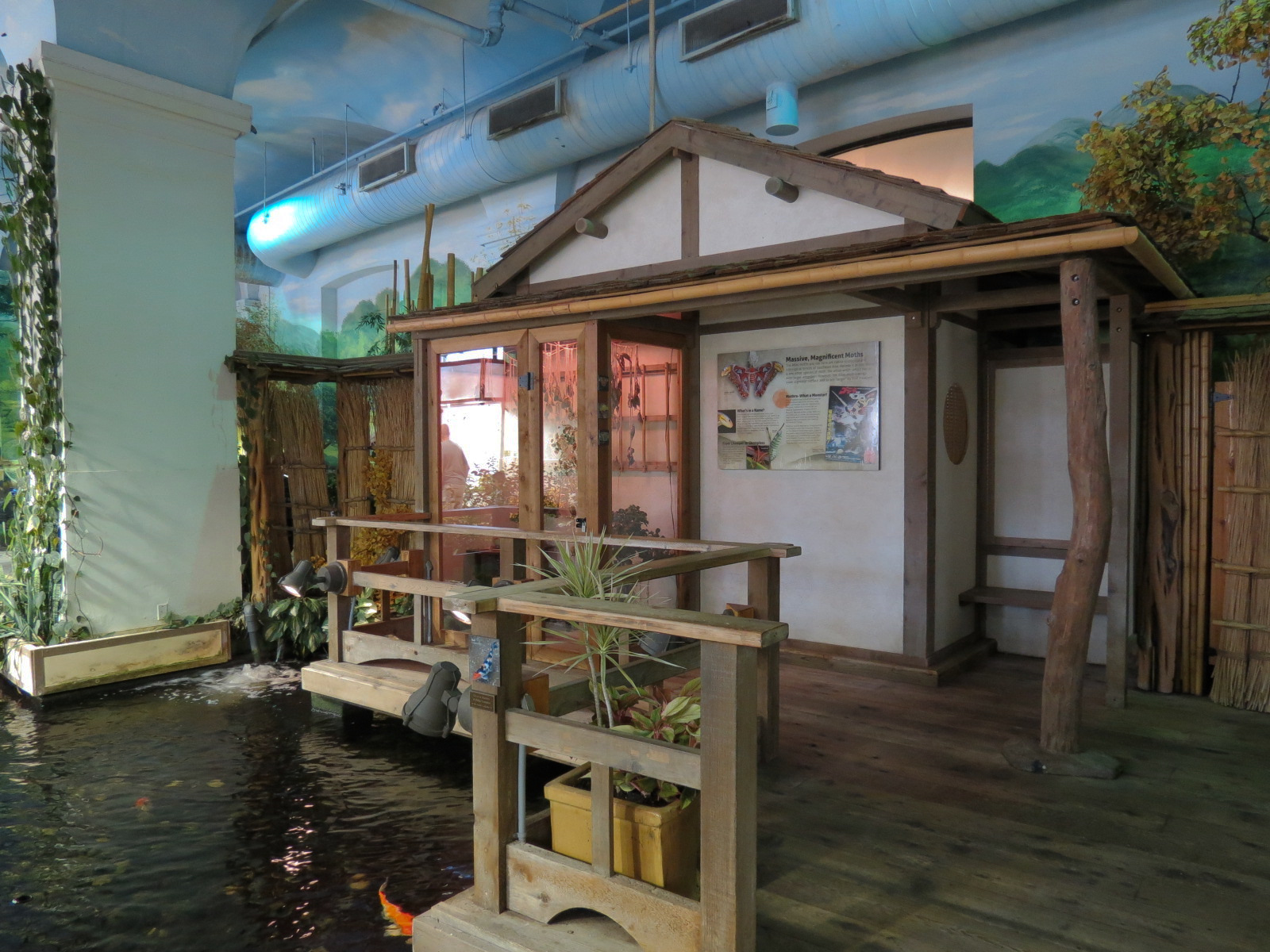 Butterflies In Flight Gallery