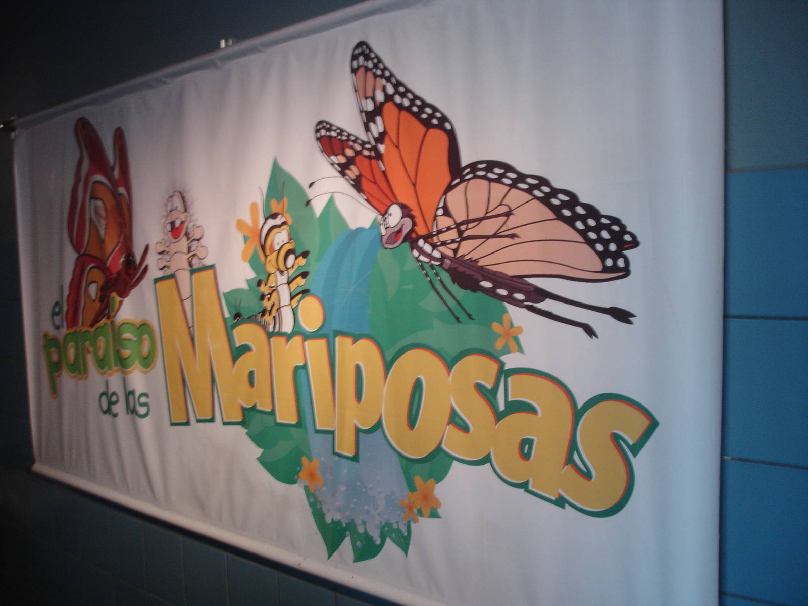 Butterflies Paradise banner