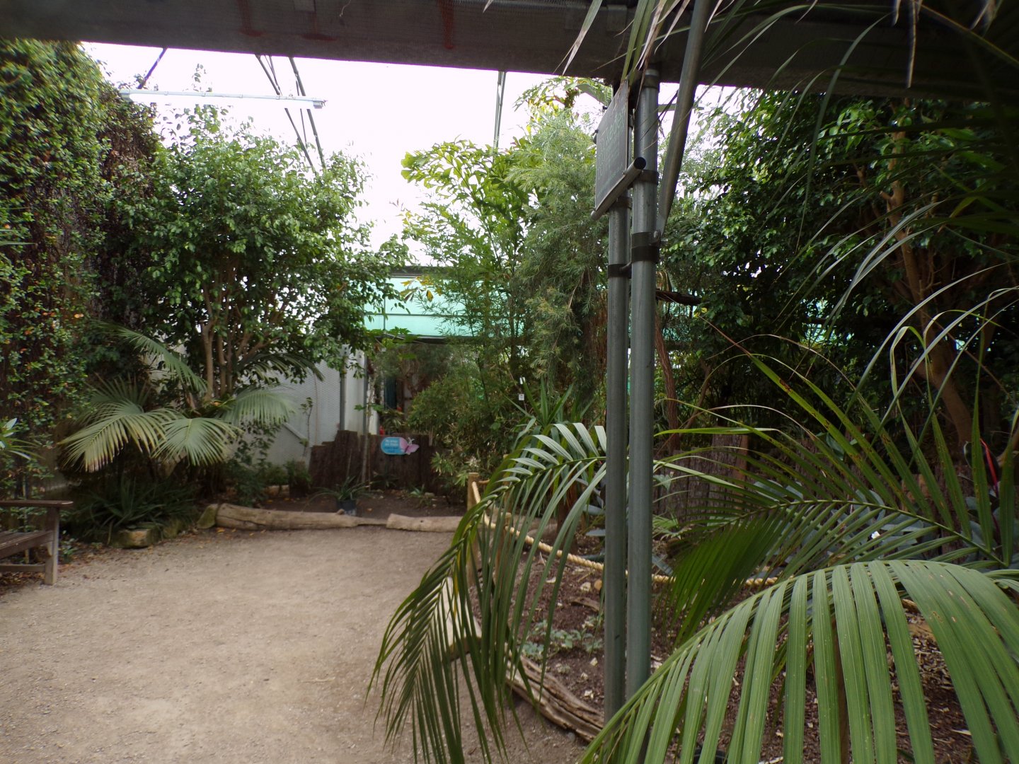 Butterfly and bird house 7.7.24