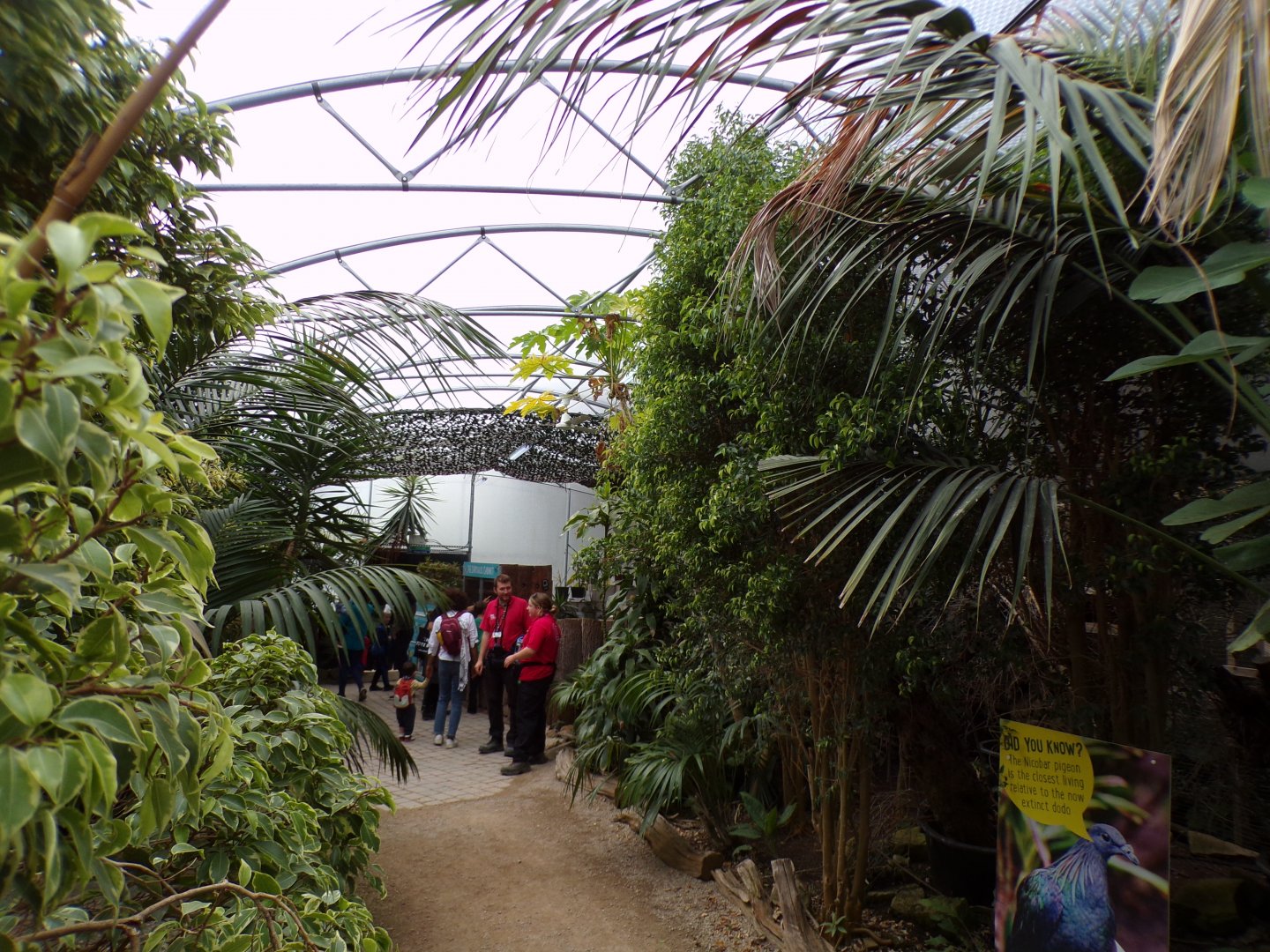 Butterfly and bird house 7.7.24