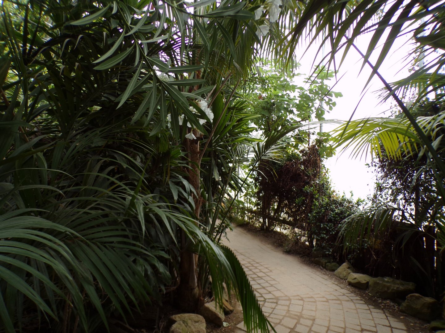 Butterfly and bird house 7.7.24