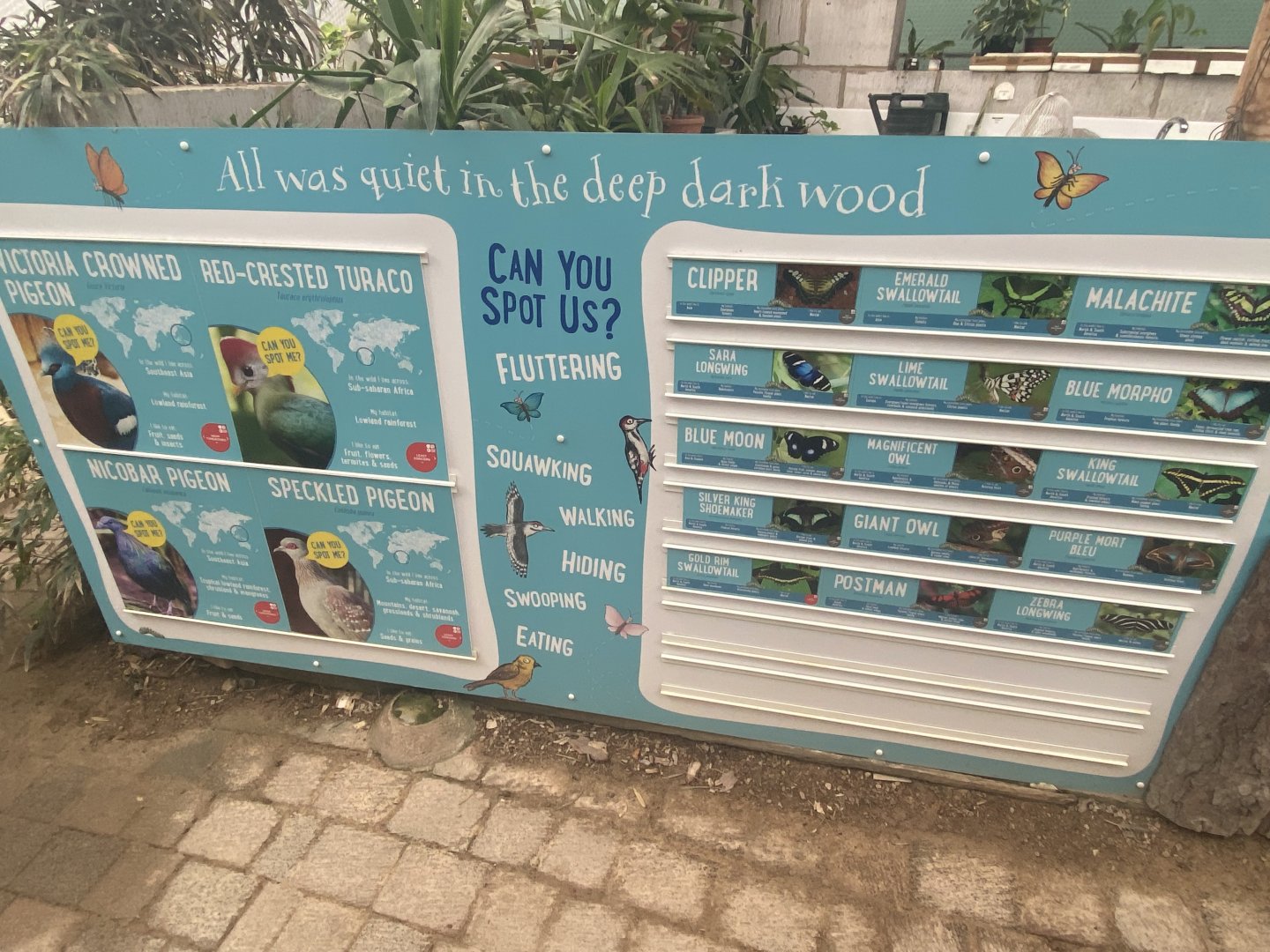 Butterfly and bird walkthrough signage