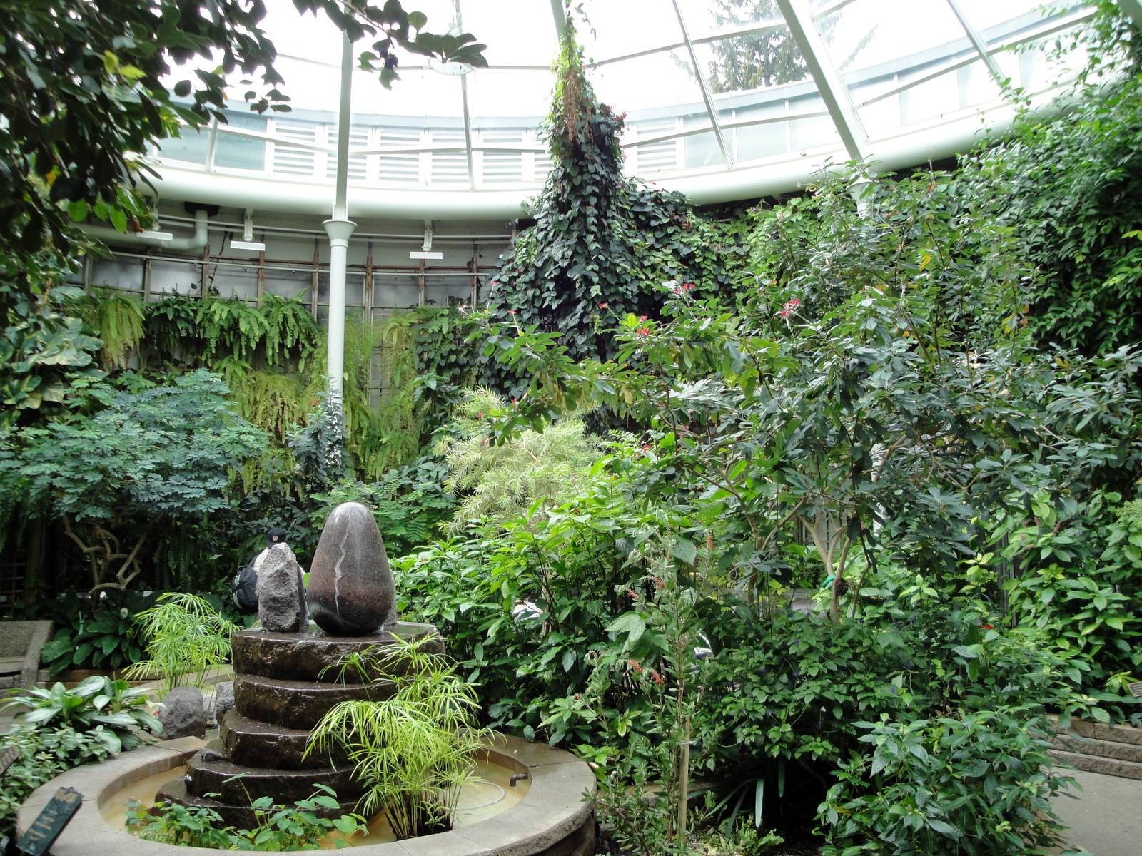 Butterfly and Hummingbird Garden