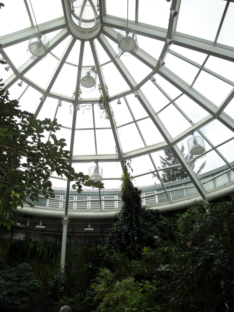 Butterfly and Hummingbird Garden