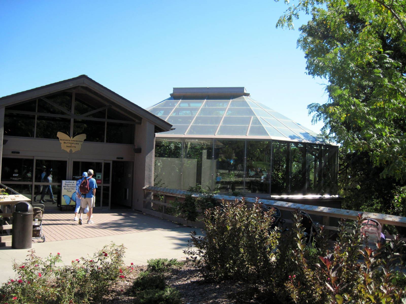 Butterfly and Insect Pavillion