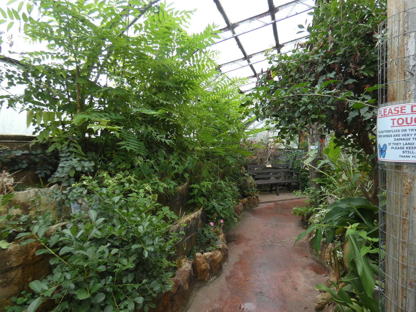 Butterfly area of the Floral Palace