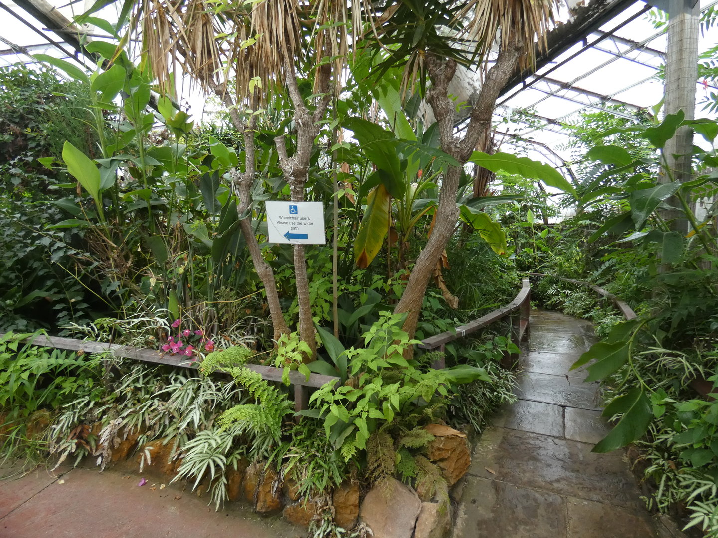Butterfly area of the Floral Palace