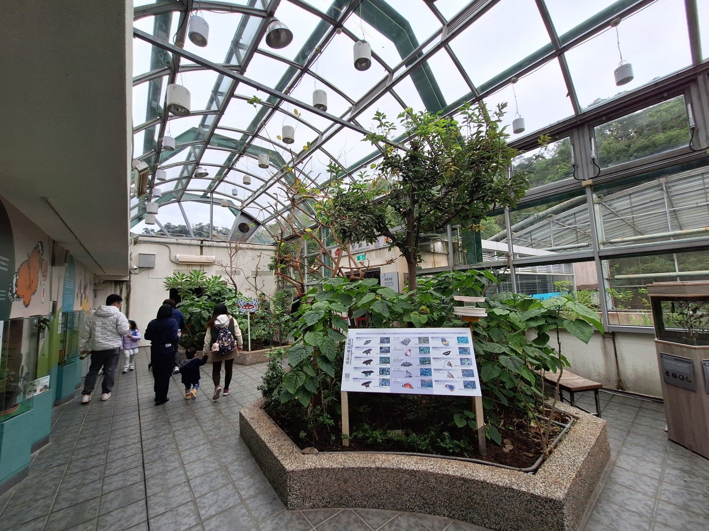 Butterfly Atrium- Insectarium