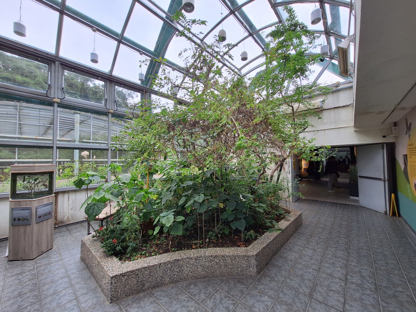 Butterfly Atrium- Insectarium