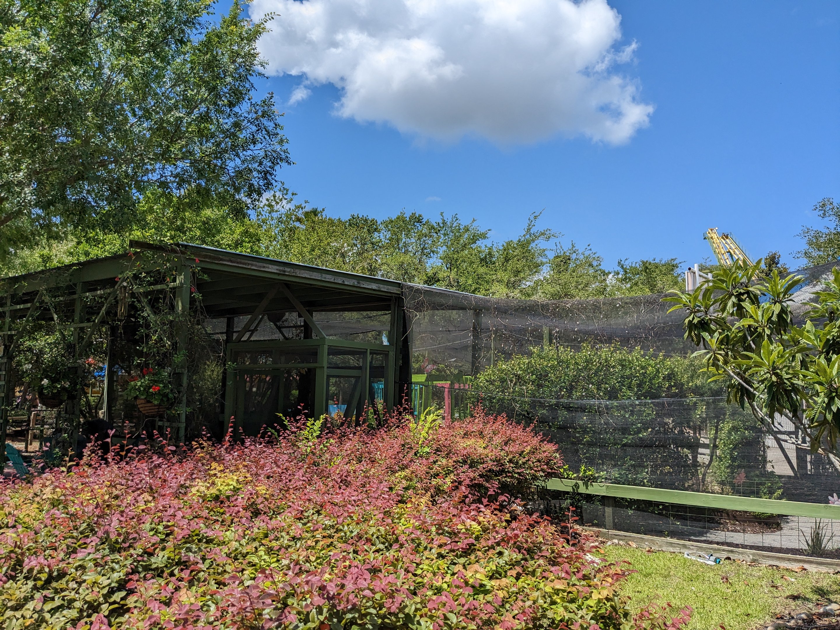 Butterfly Aviary