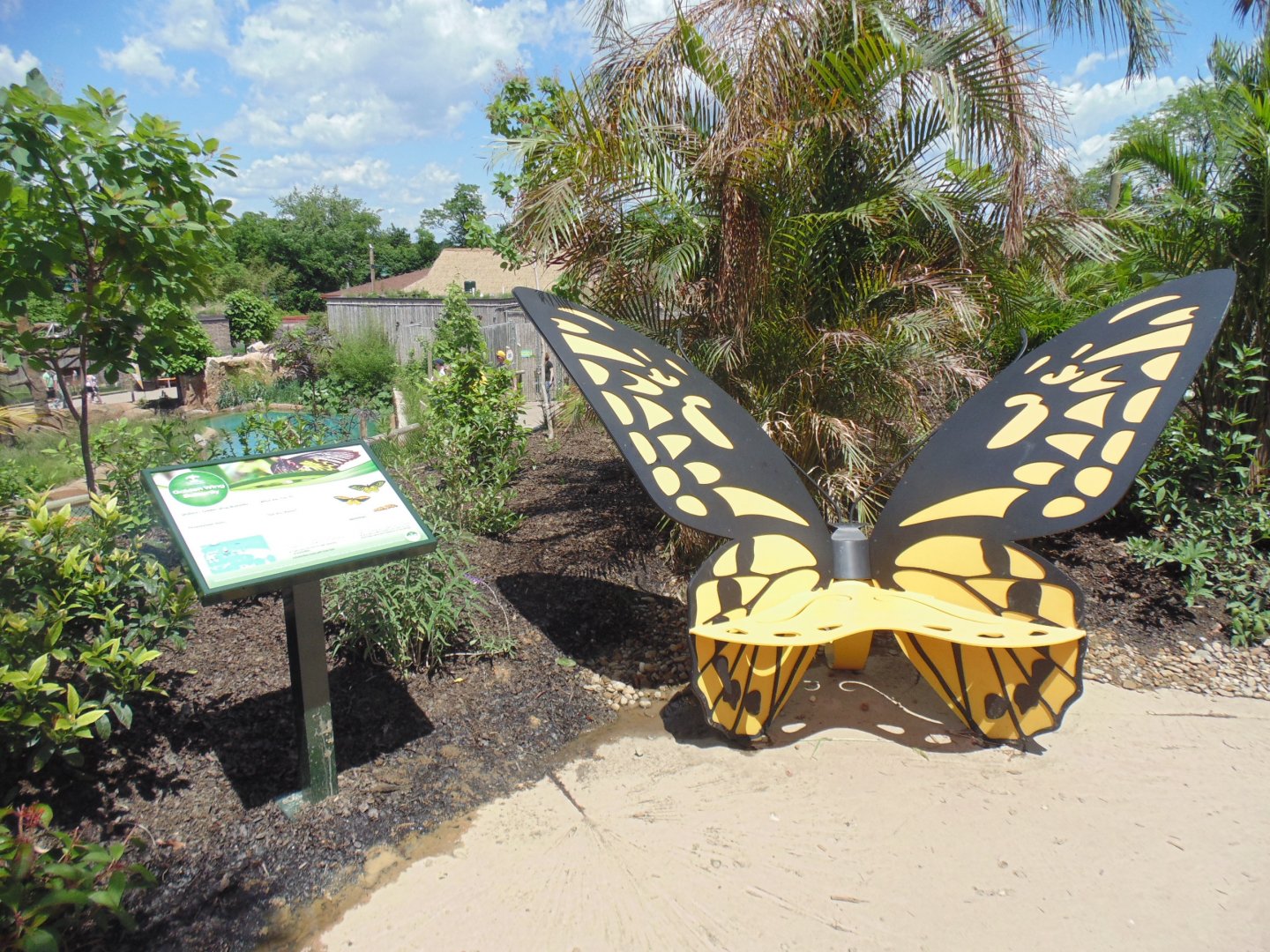Butterfly Bench Jungle Odyssey Area