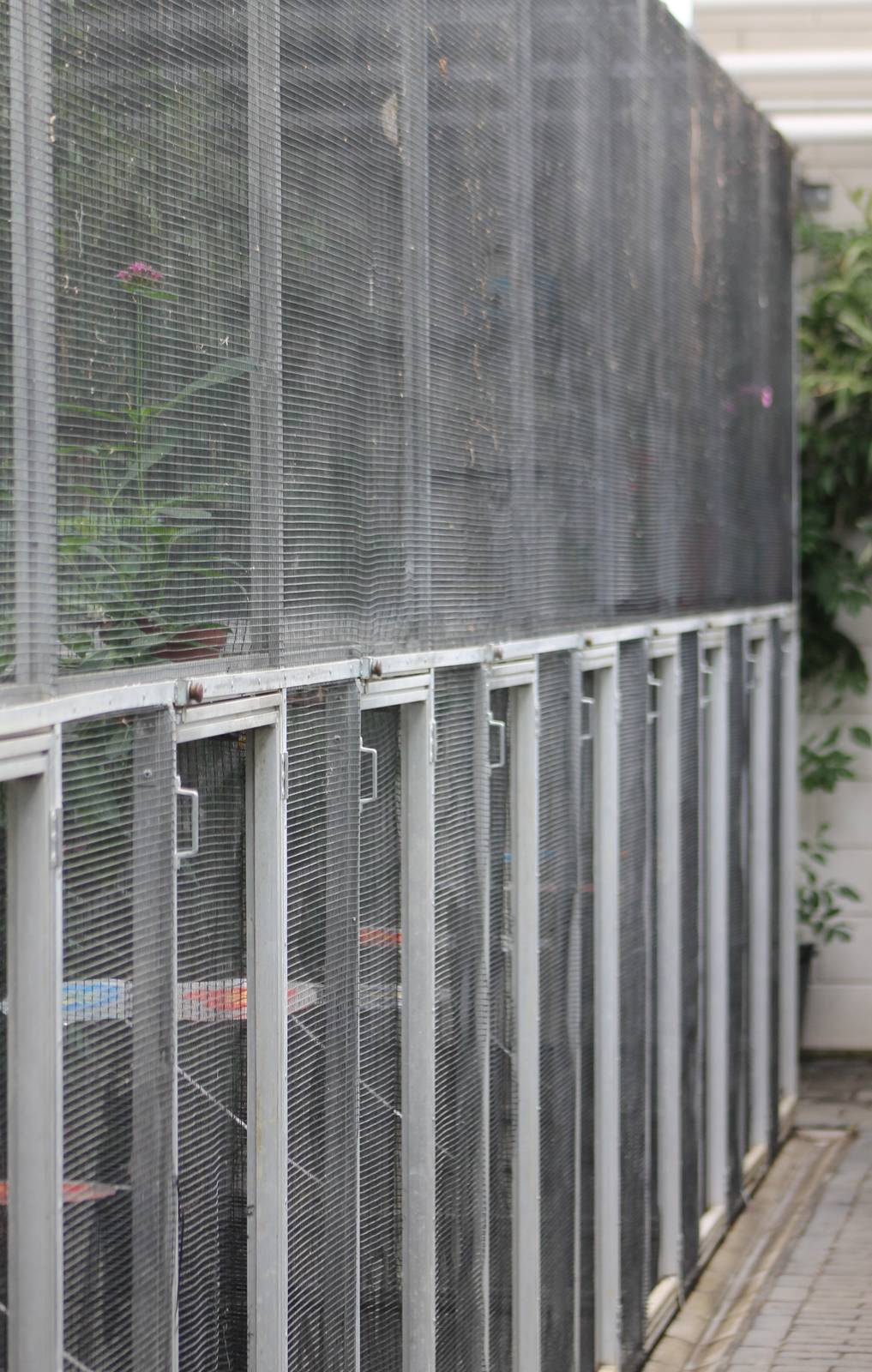 Butterfly breeding cages