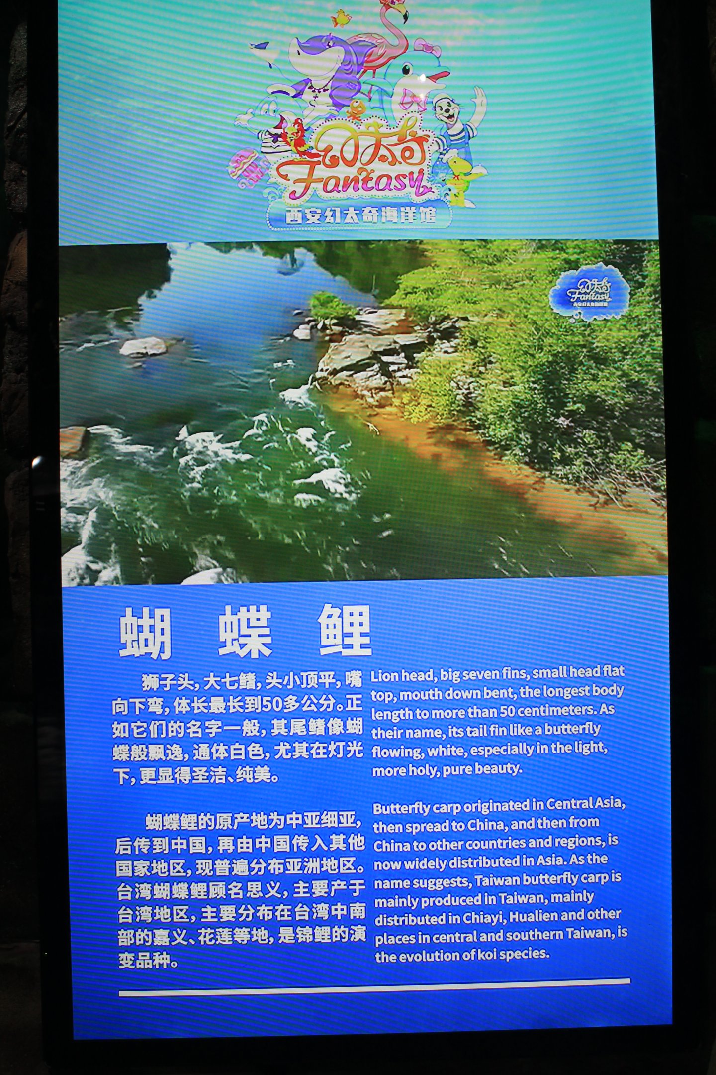 Butterfly Carp sign at Fantasy Aquarium, Xi'an