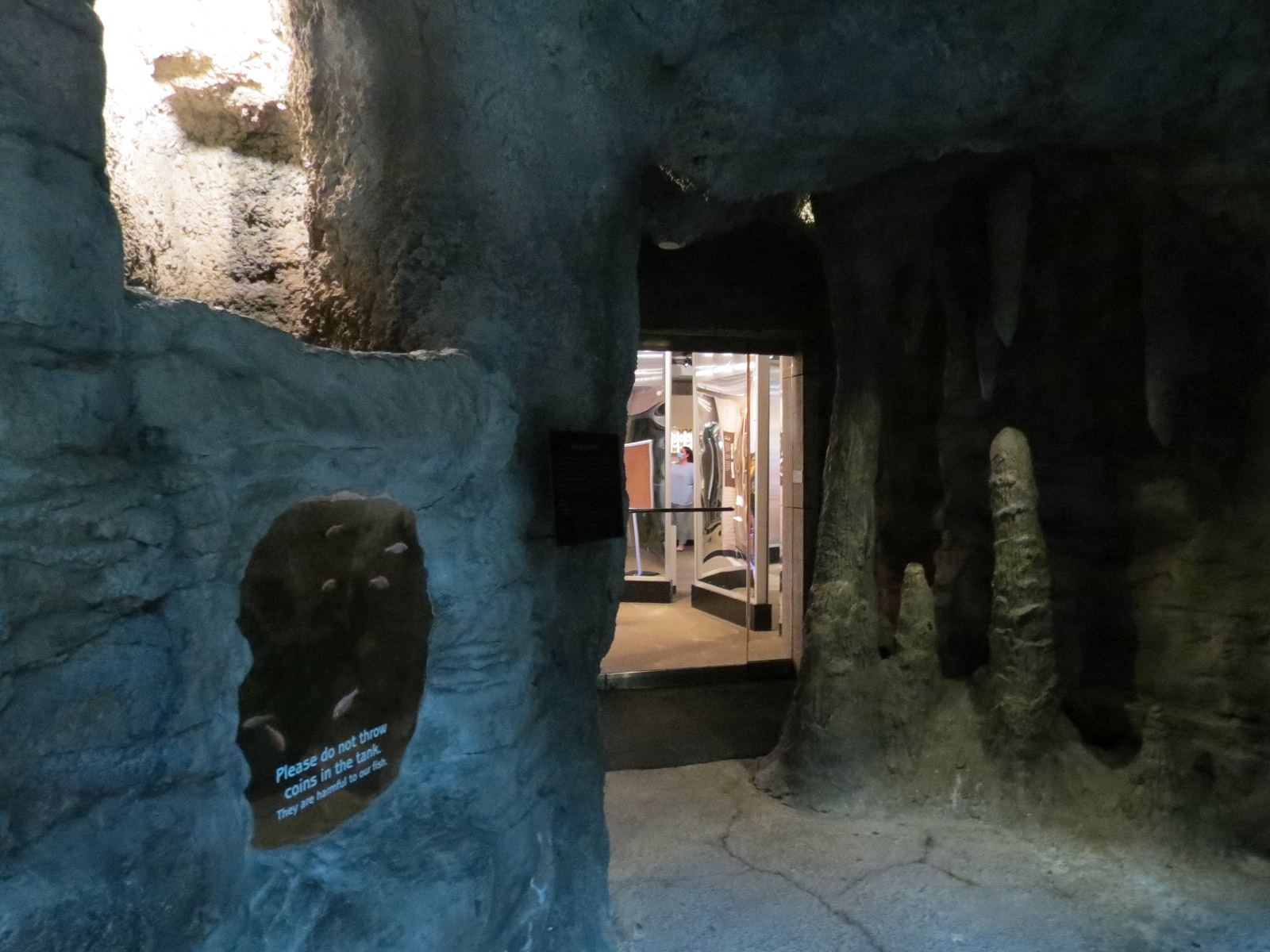 Butterfly Center - Blind Cave Fish Exhibit