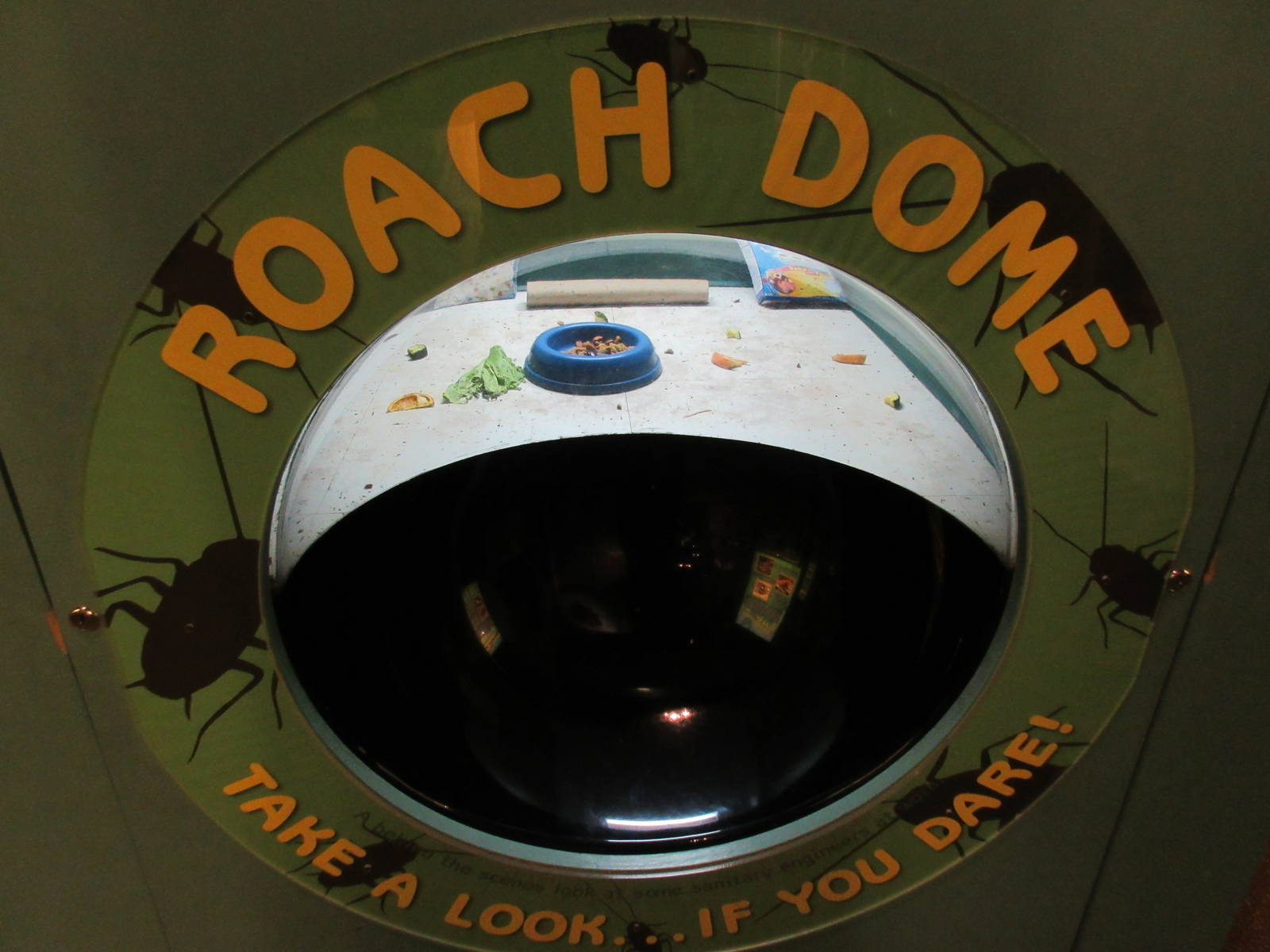 Butterfly Center - Hall of Entomology (Roach Dome)