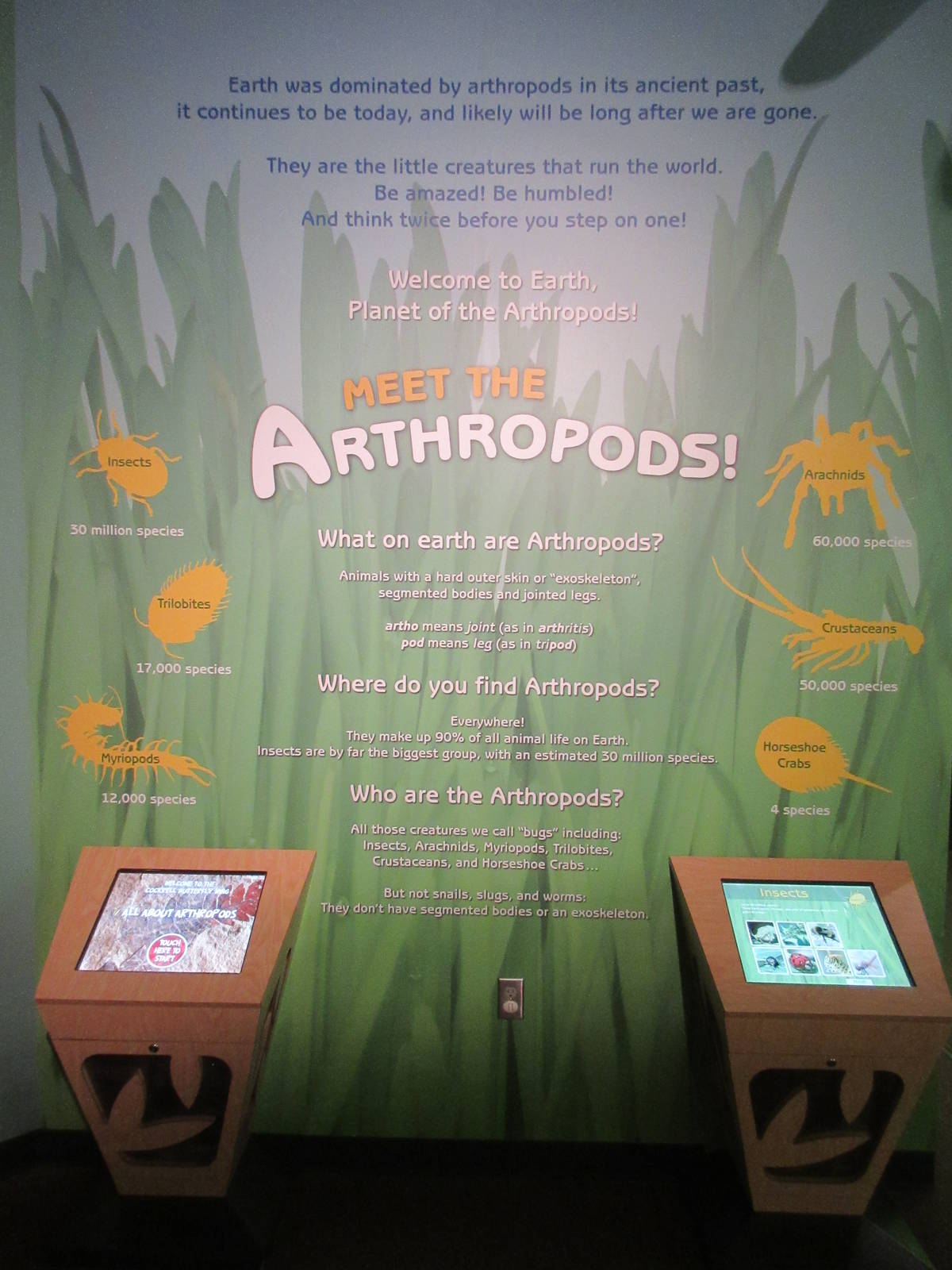 Butterfly Center - Hall of Entomology