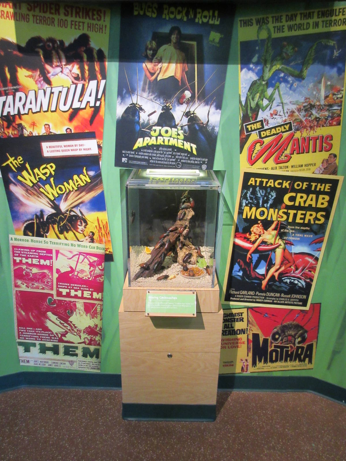 Butterfly Center - Hall of Entomology