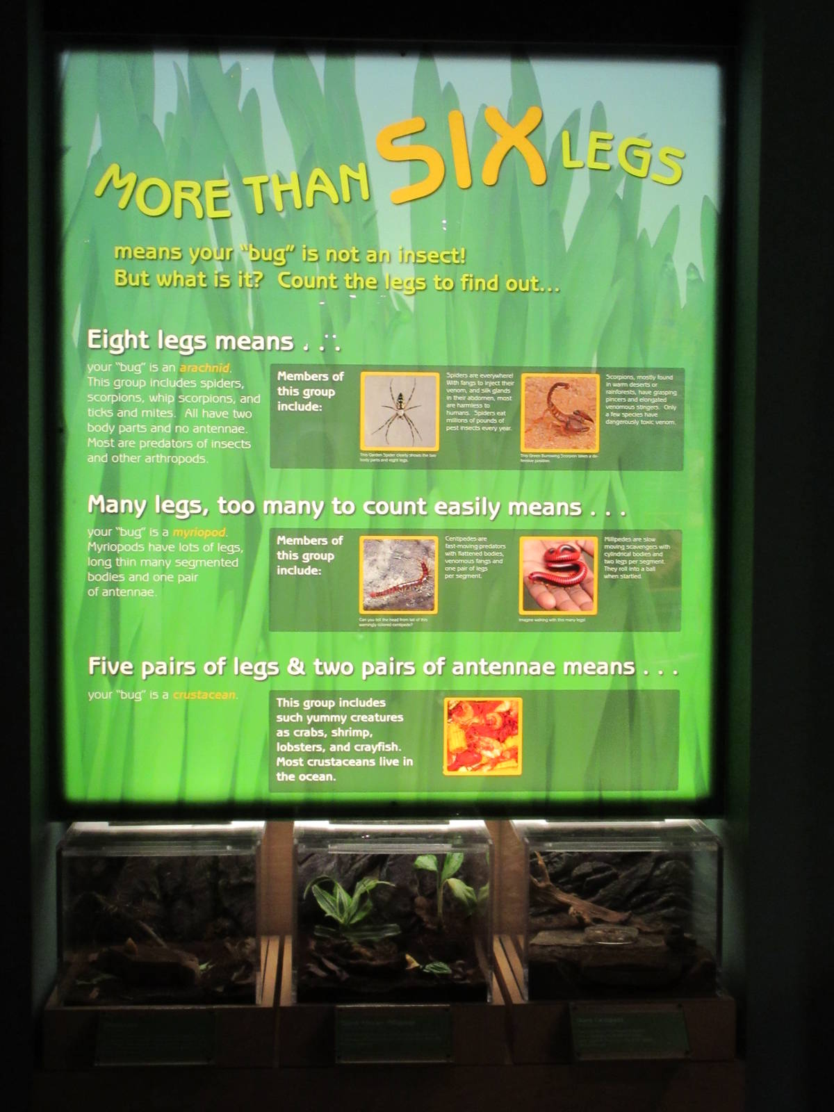 Butterfly Center - Hall of Entomology