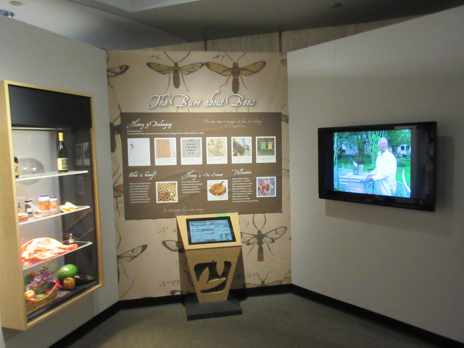 Butterfly Center - Hall of Entomology