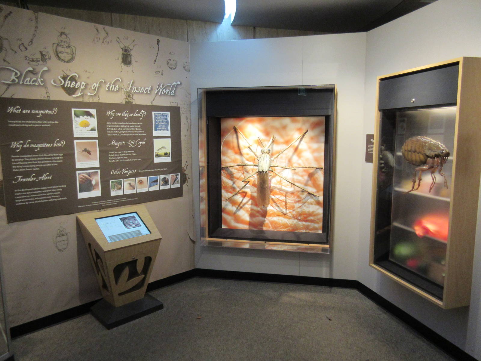 Butterfly Center - Hall of Entomology