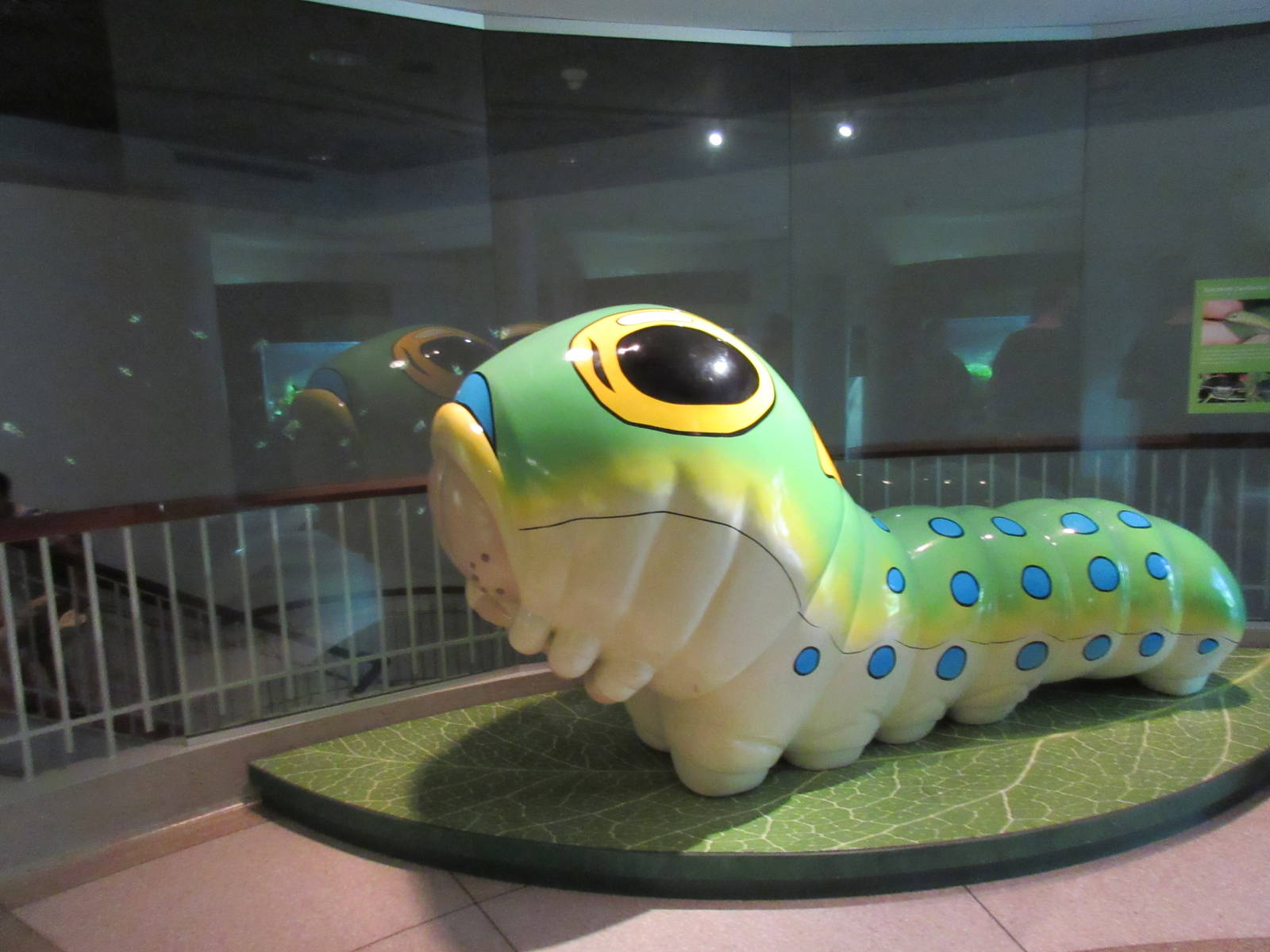 Butterfly Center - Jump on a Bug!