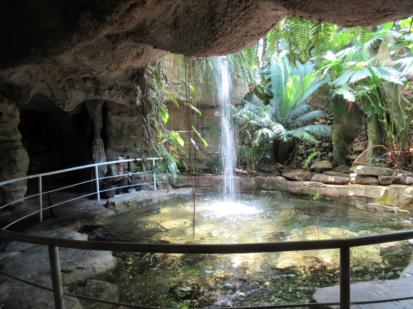 Butterfly Center - Pool