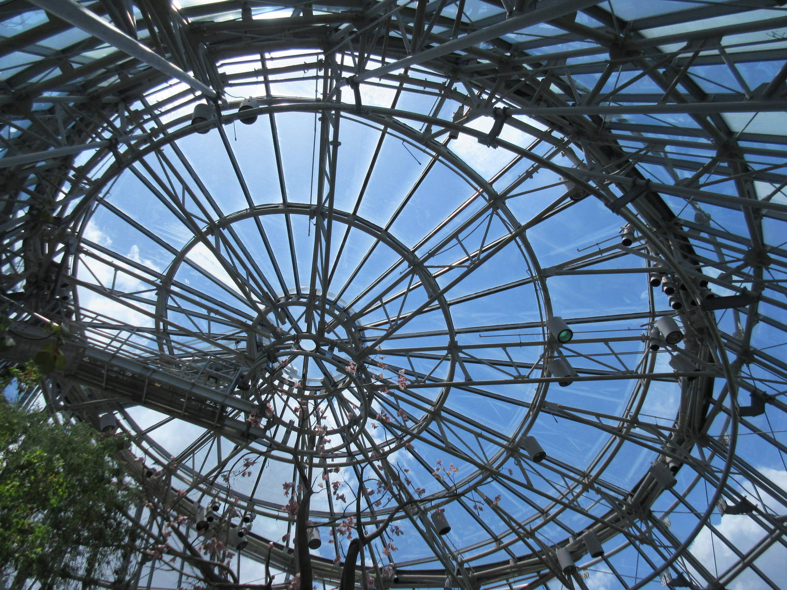 Butterfly Center - Roof