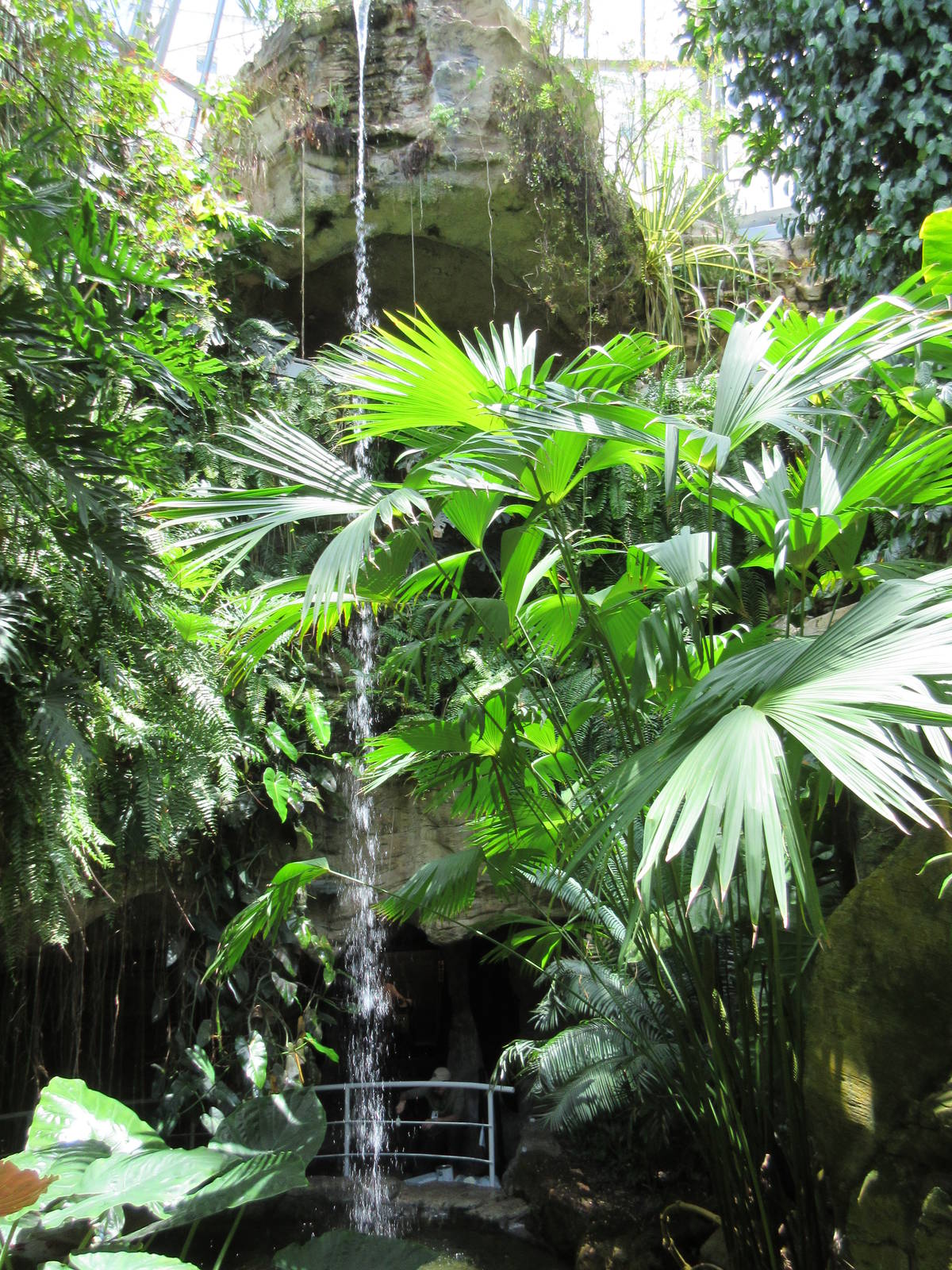 Butterfly Center - Tall Waterfall