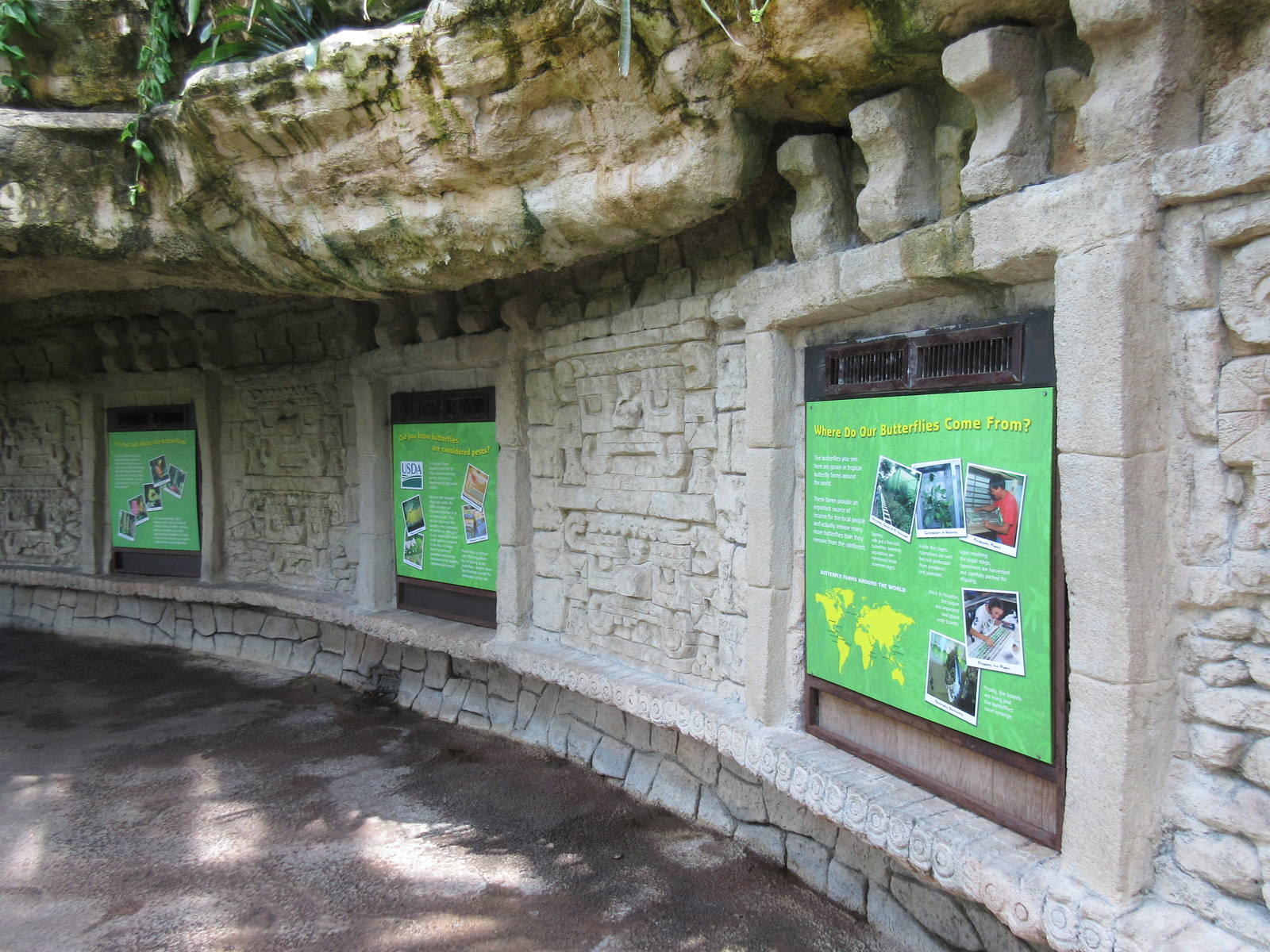 Butterfly Center