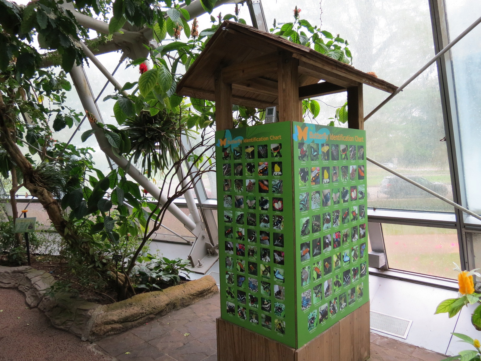 Butterfly Center