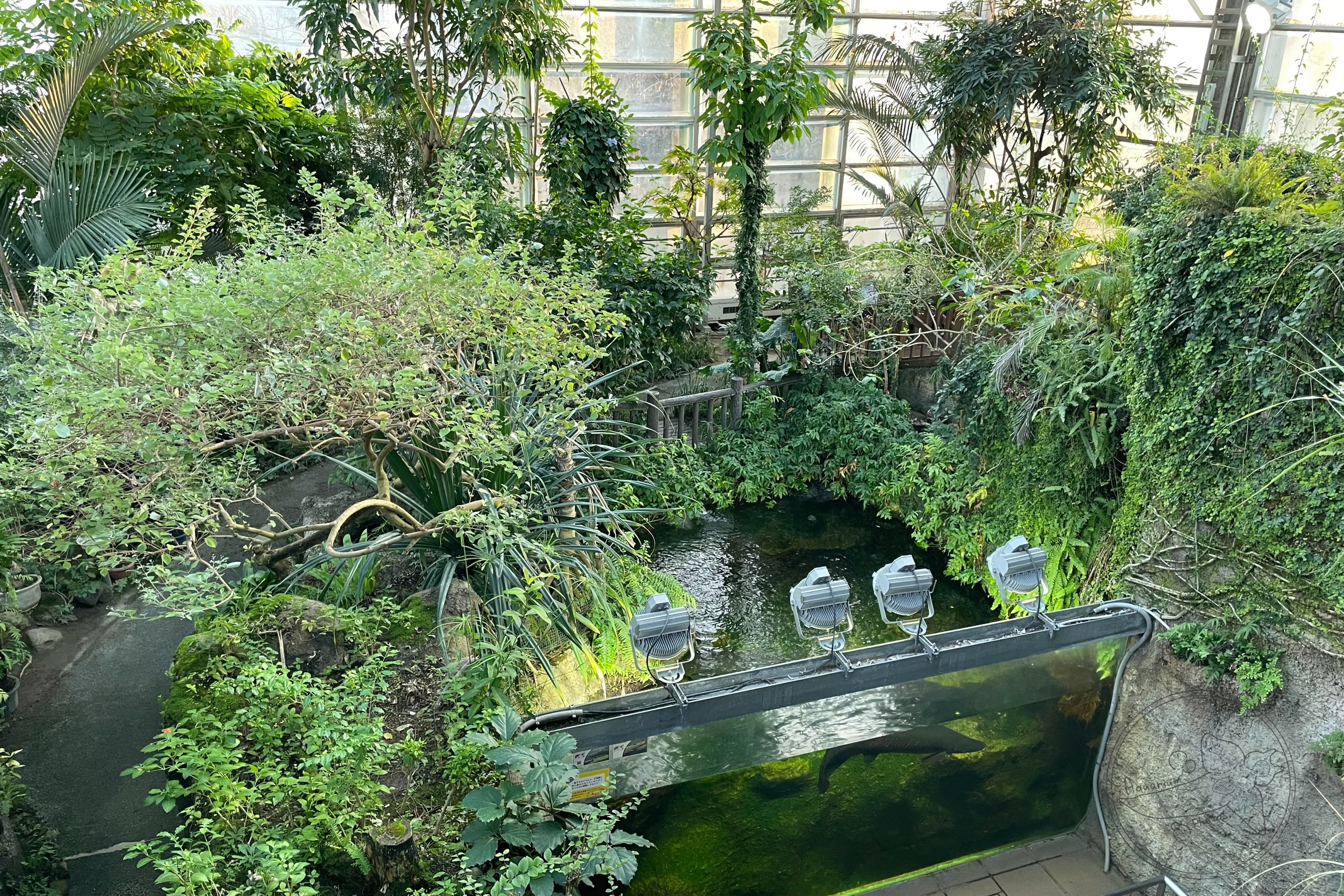 Butterfly Dome and Fish Tank