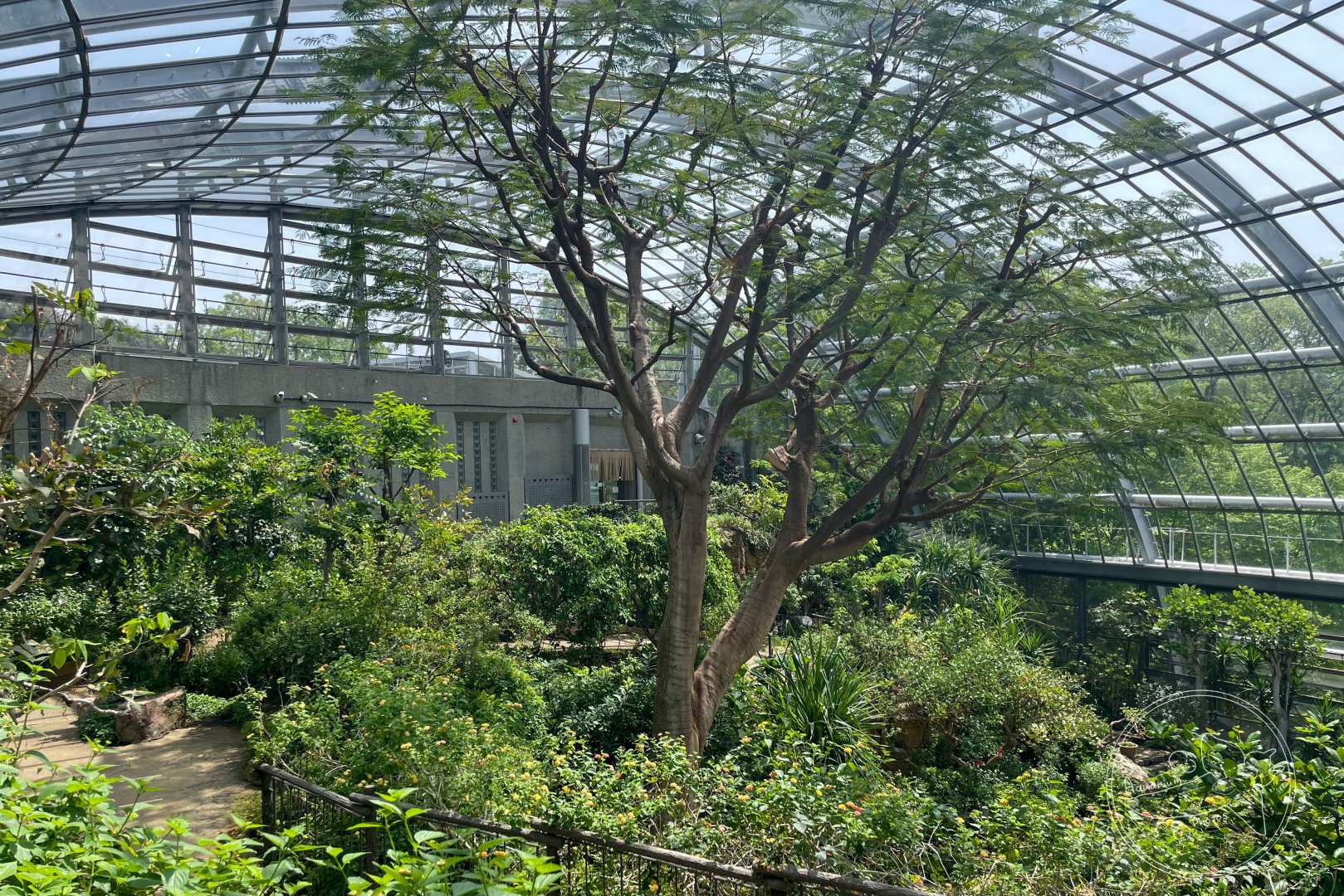 Butterfly Dome Exhibit
