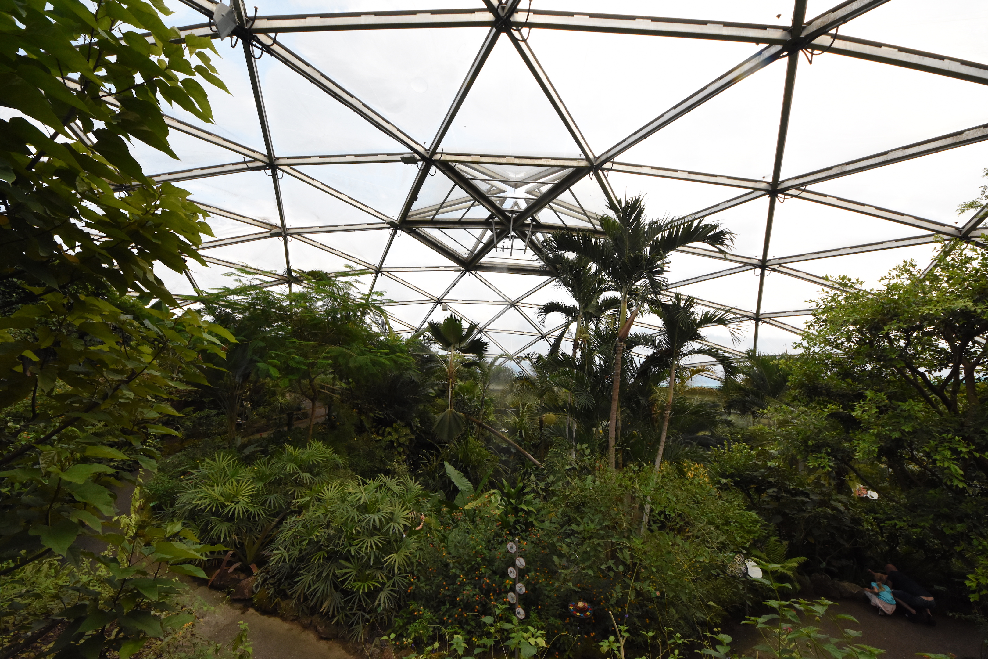 Butterfly dome