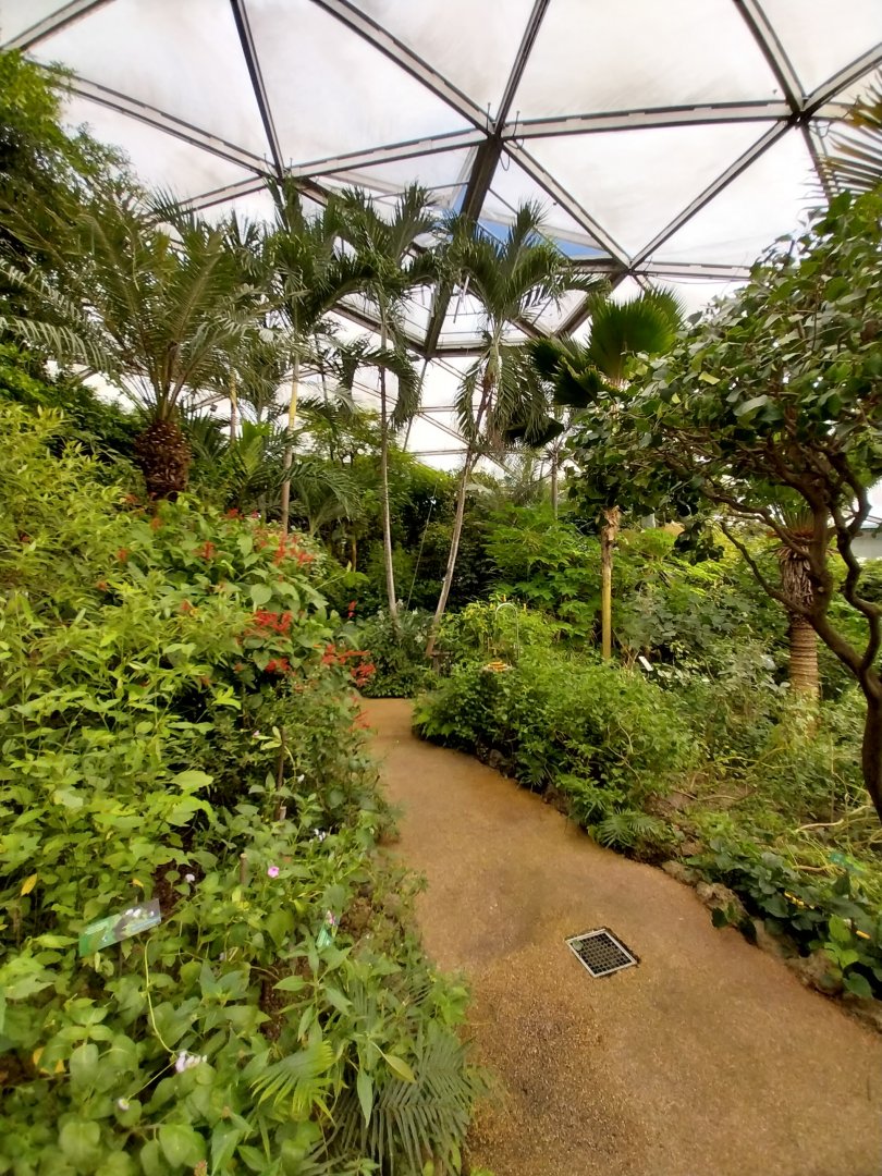 Butterfly dome