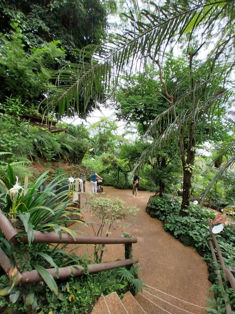Butterfly dome
