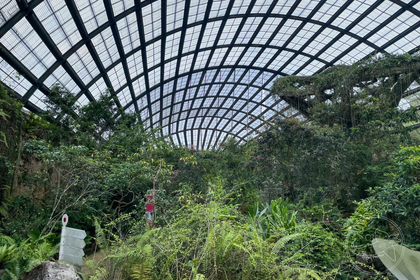 Butterfly Dome