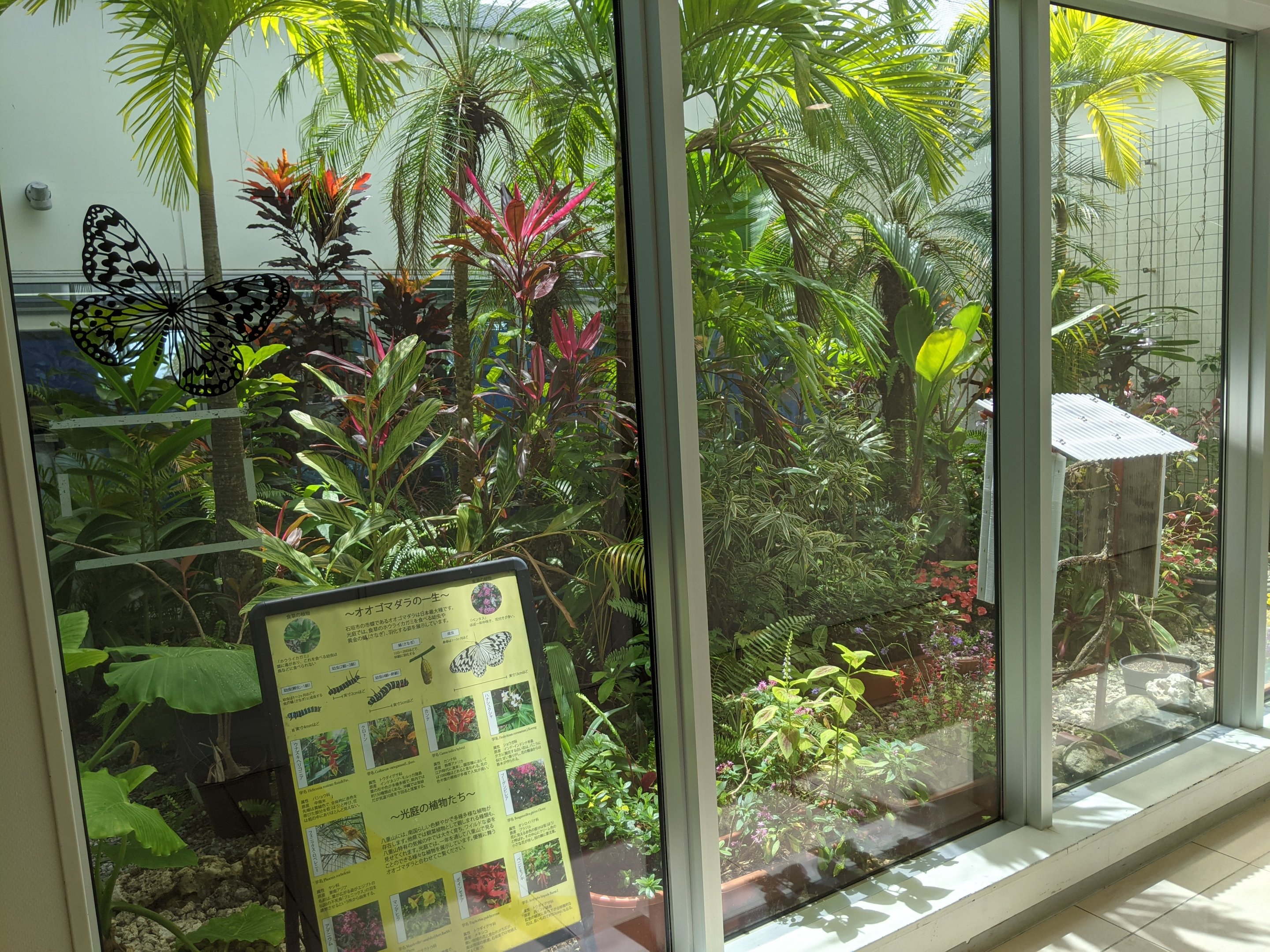 Butterfly enclosure at Ishigaki Airport
