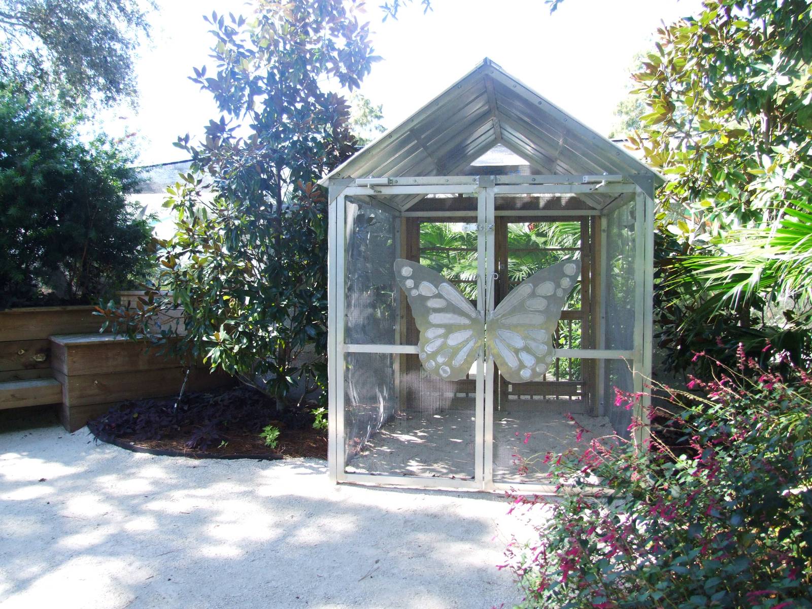 Butterfly Exhibit at Jacksonville, 10/10/13