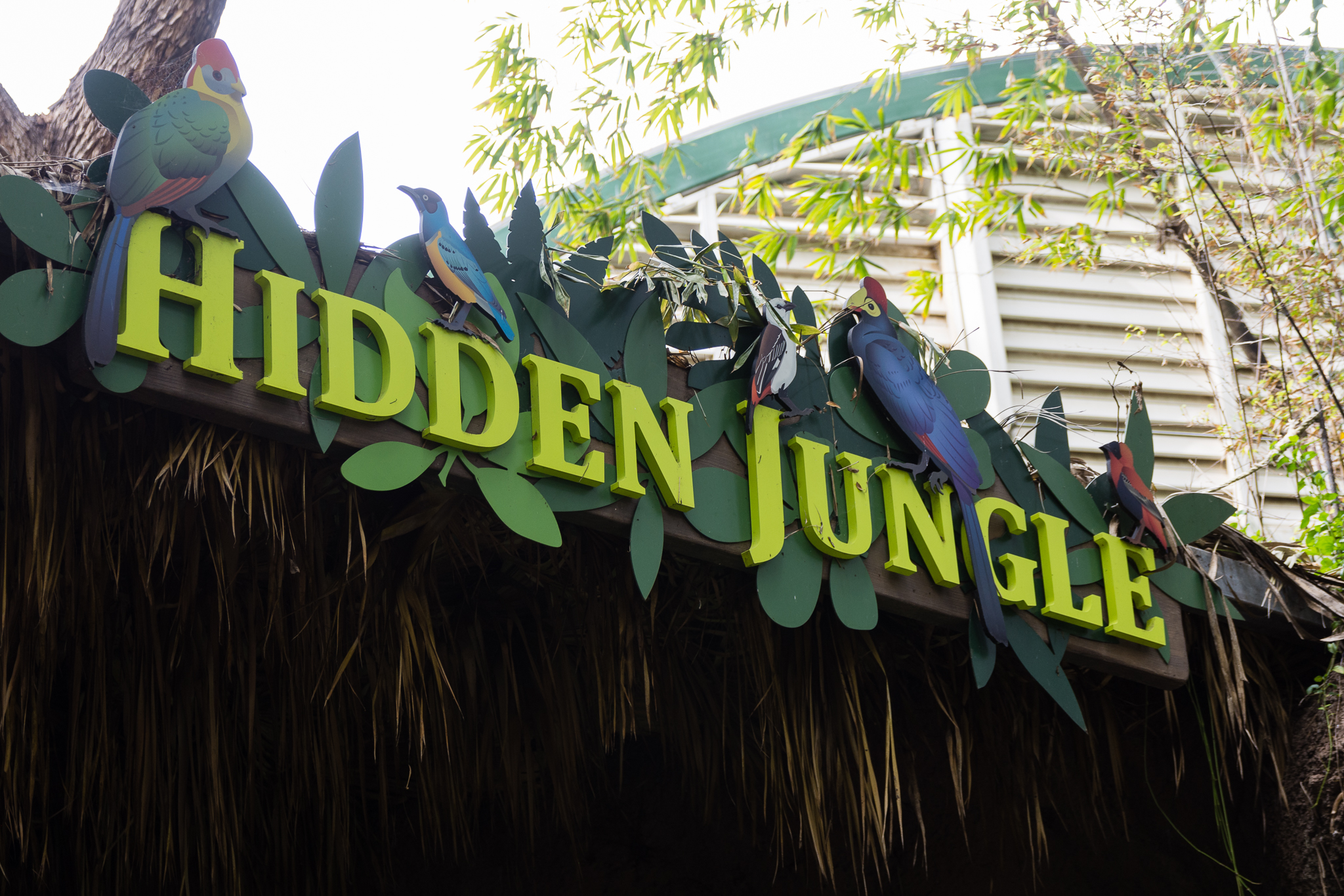 Butterfly exhibit open through May 12, 2019