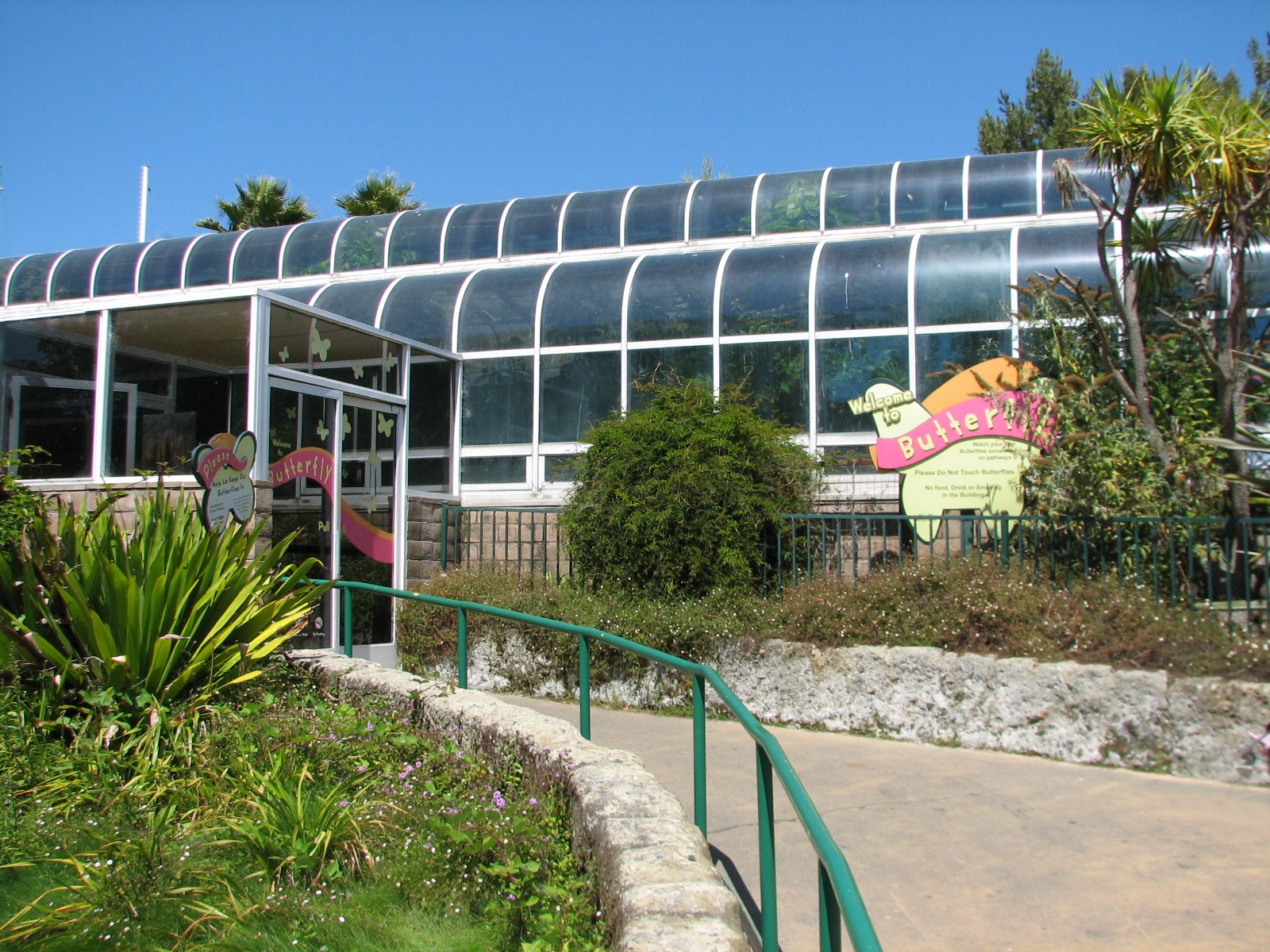 Butterfly - Exterior