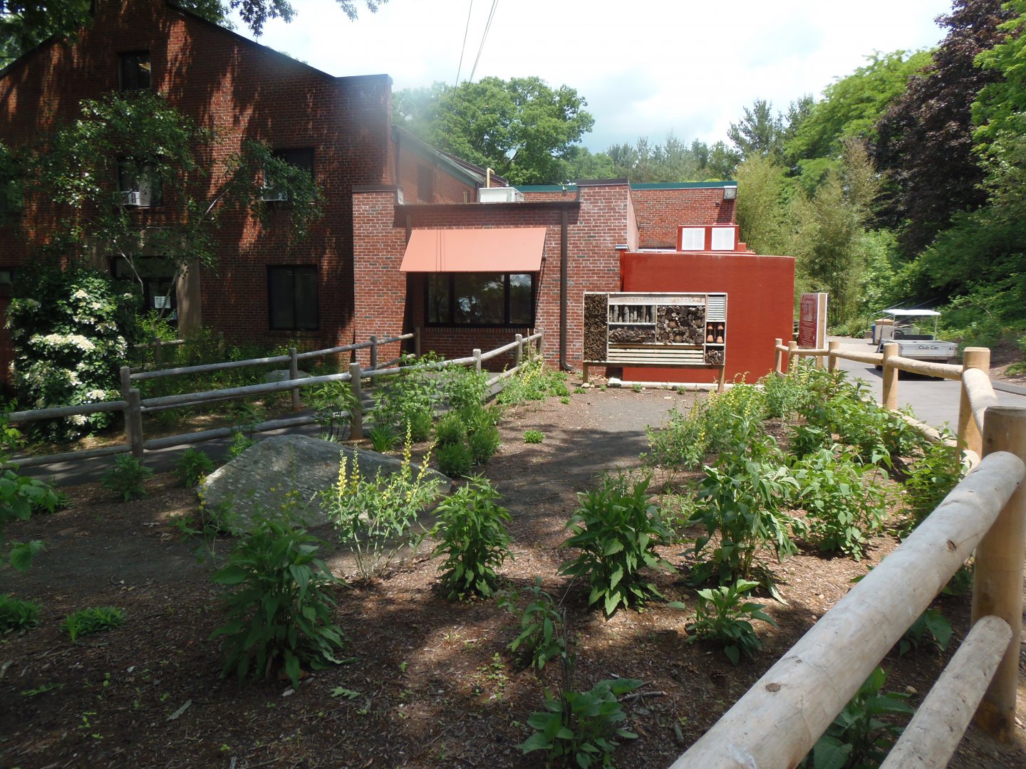 Butterfly Garden and Bug Hotel