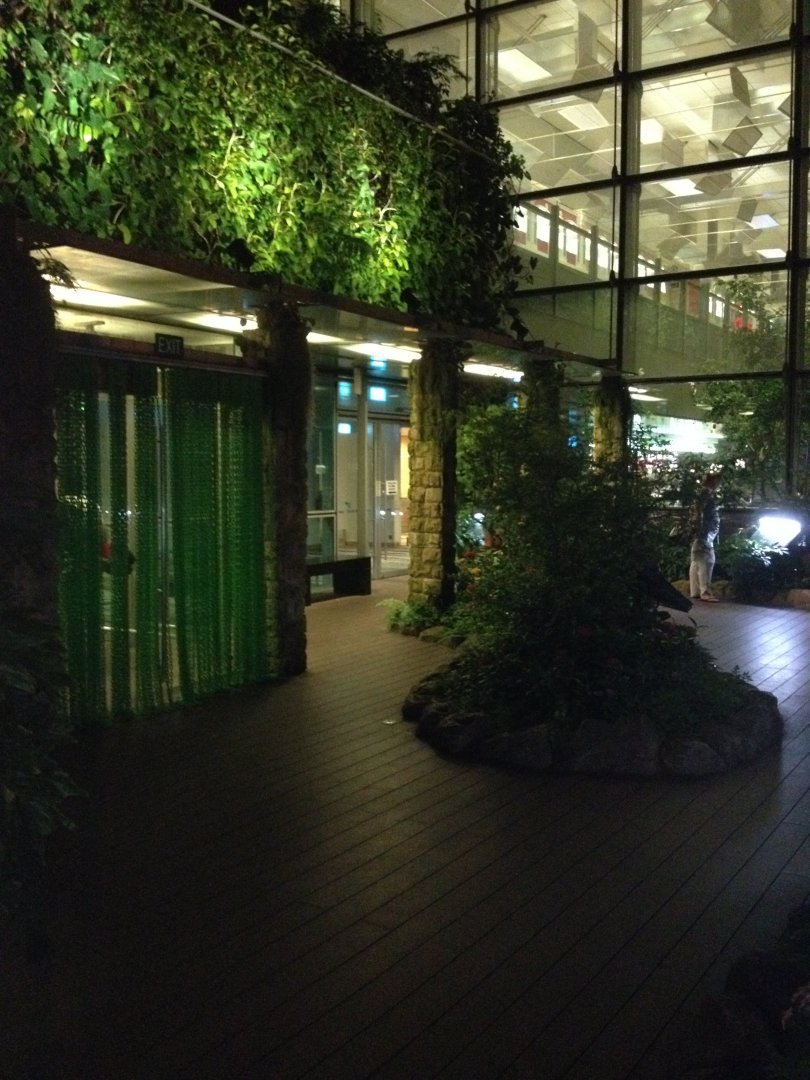 Butterfly Garden at Changi Airport