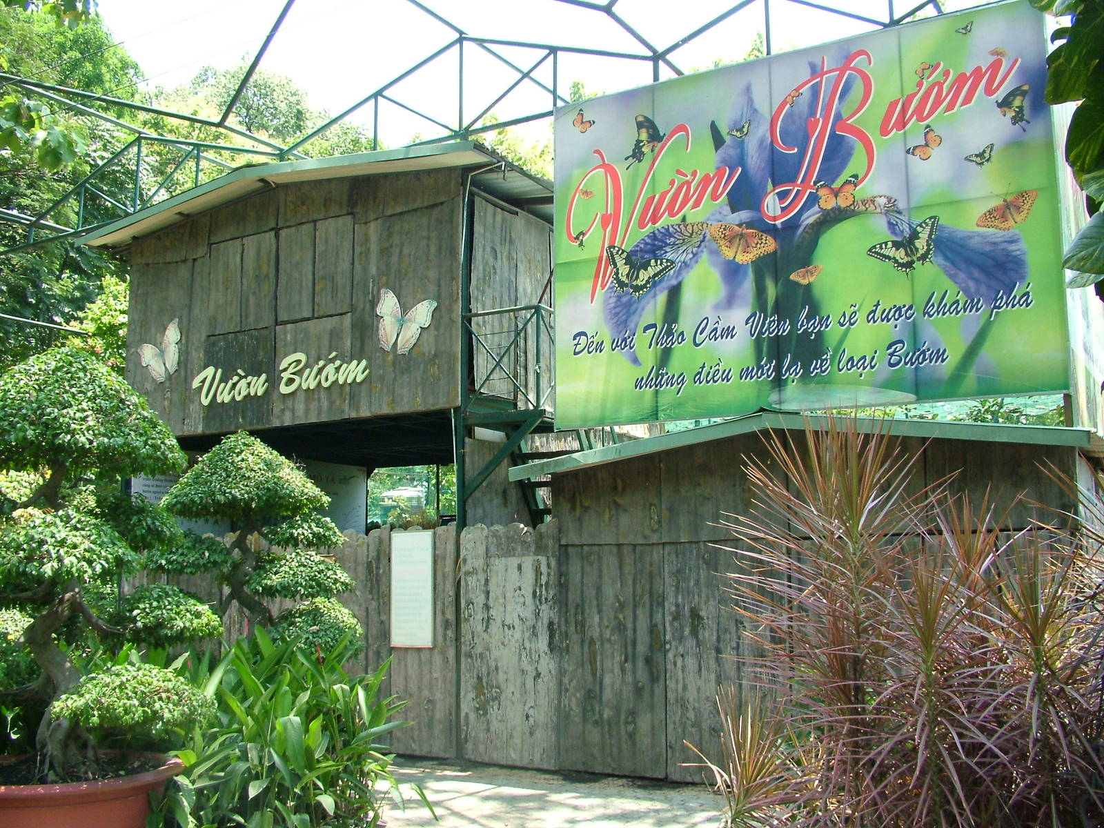 Butterfly Garden at Saigon Zoo, 16/03/12