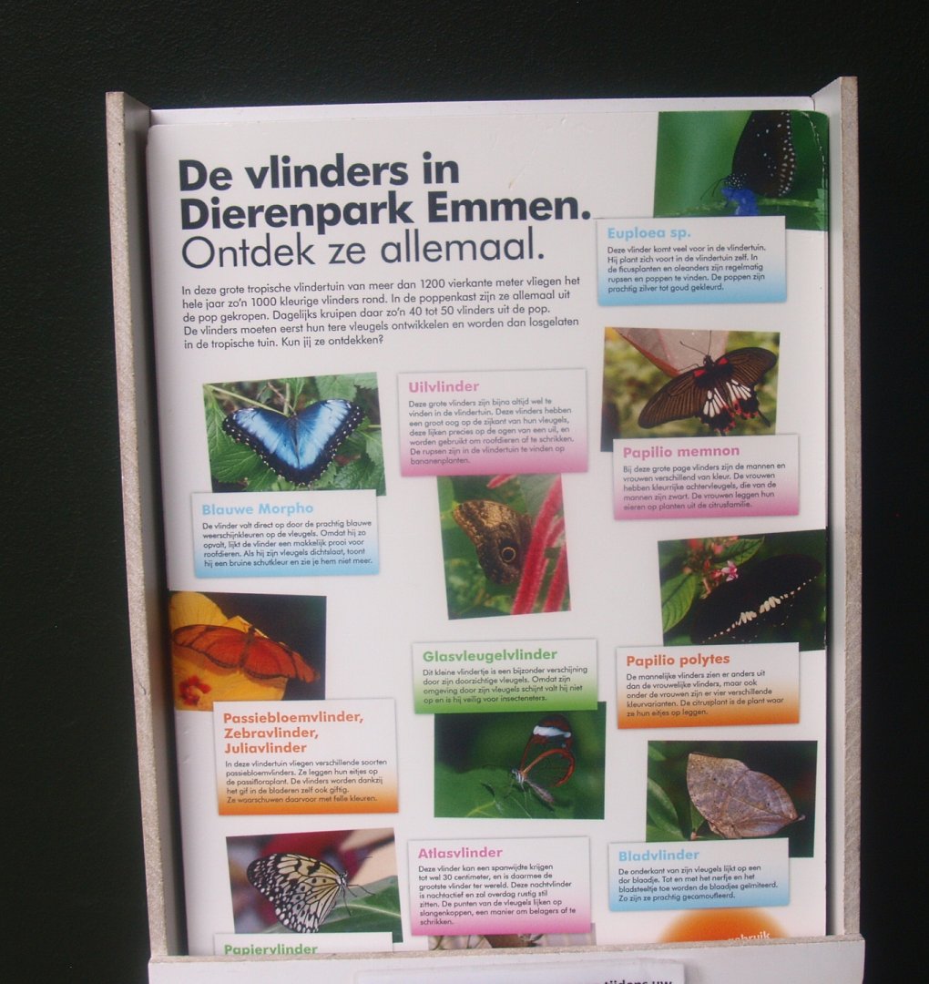 Butterfly garden - Identification chart, 2015-07-19