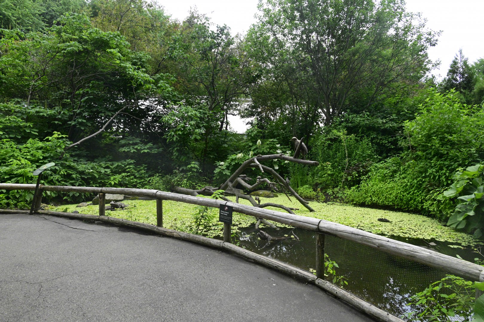 Butterfly Garden - Landscaping and Scenery