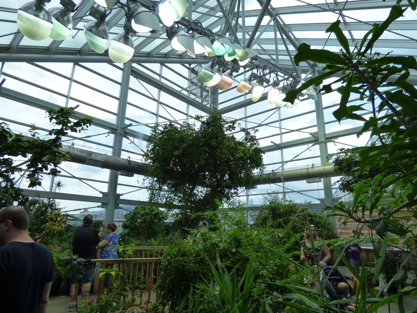 Butterfly Garden - May 2018